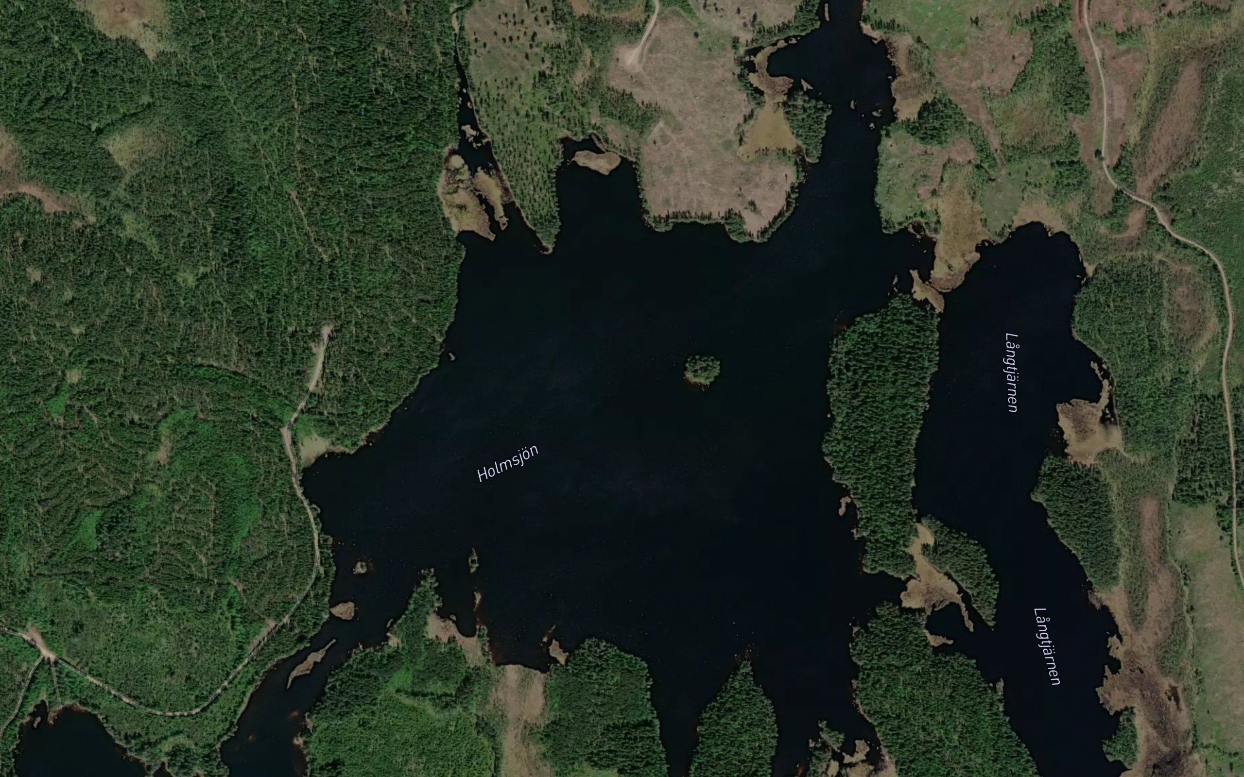 Langtjarn