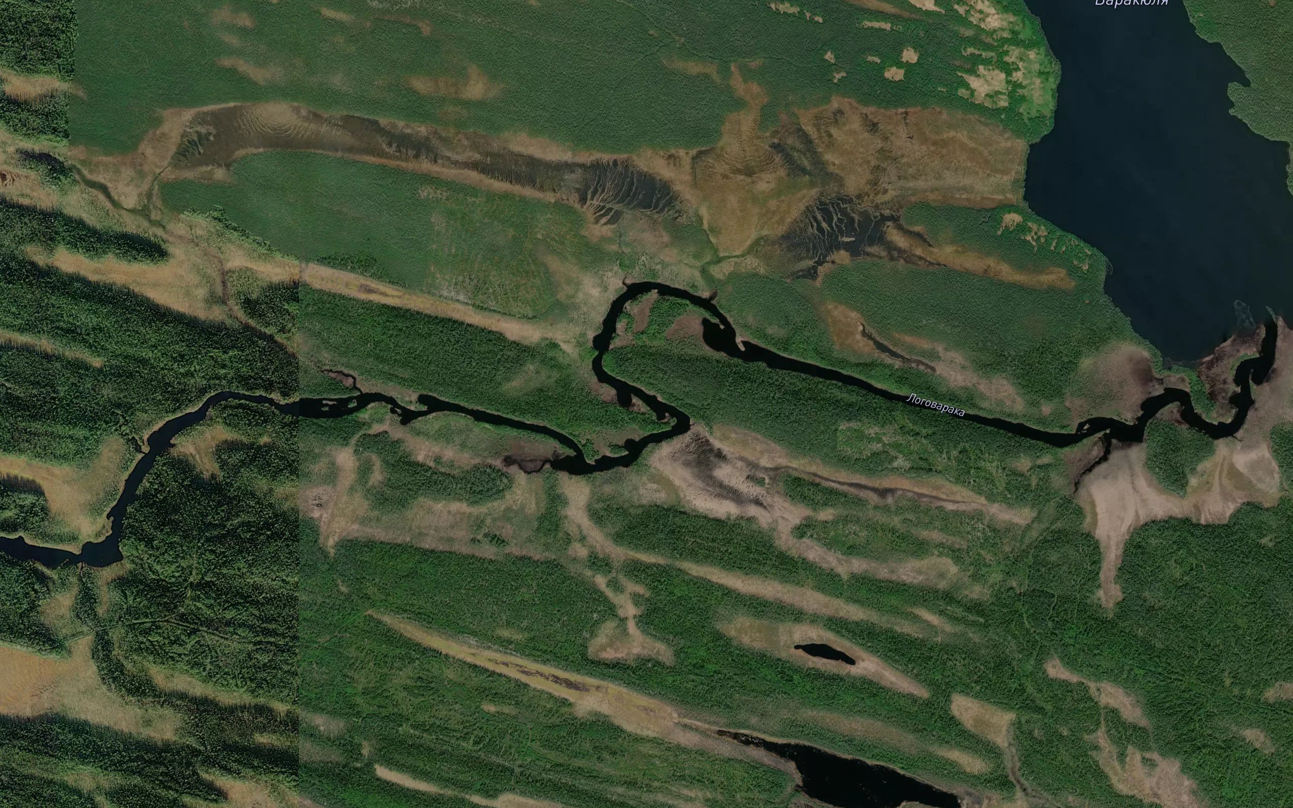 Logovaarakka