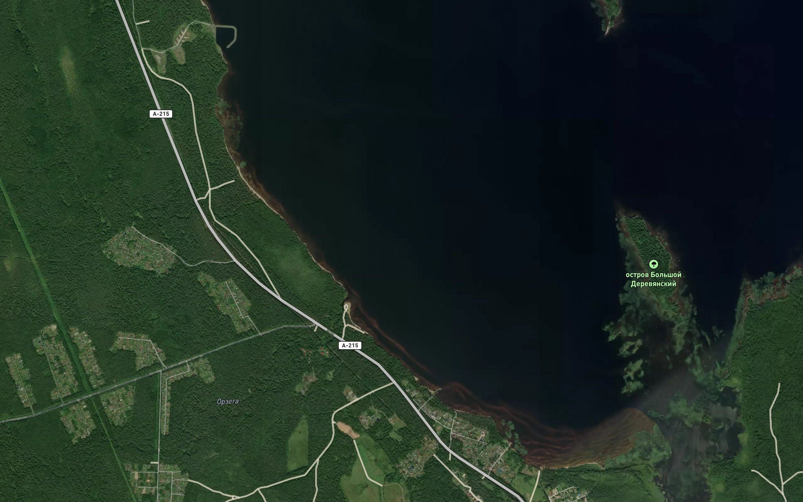 Orzega