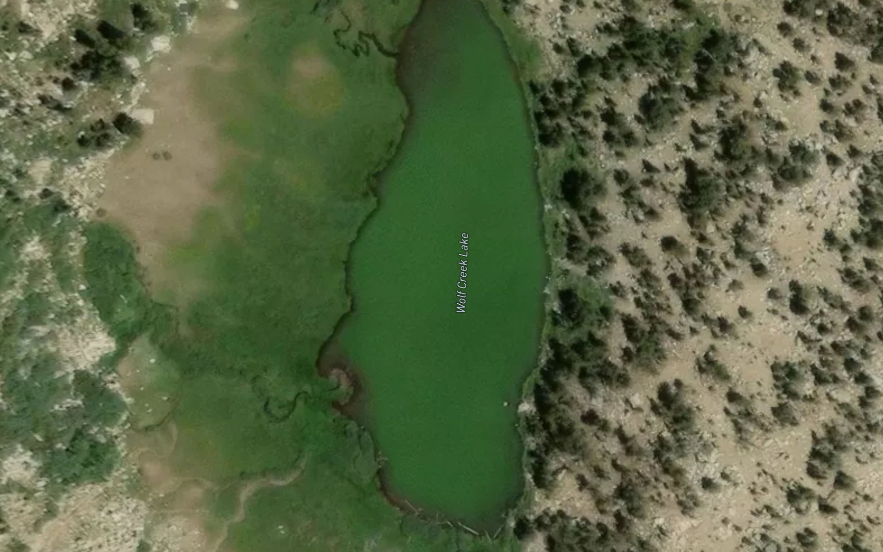 Satellite map of the Wolf Creek Lake