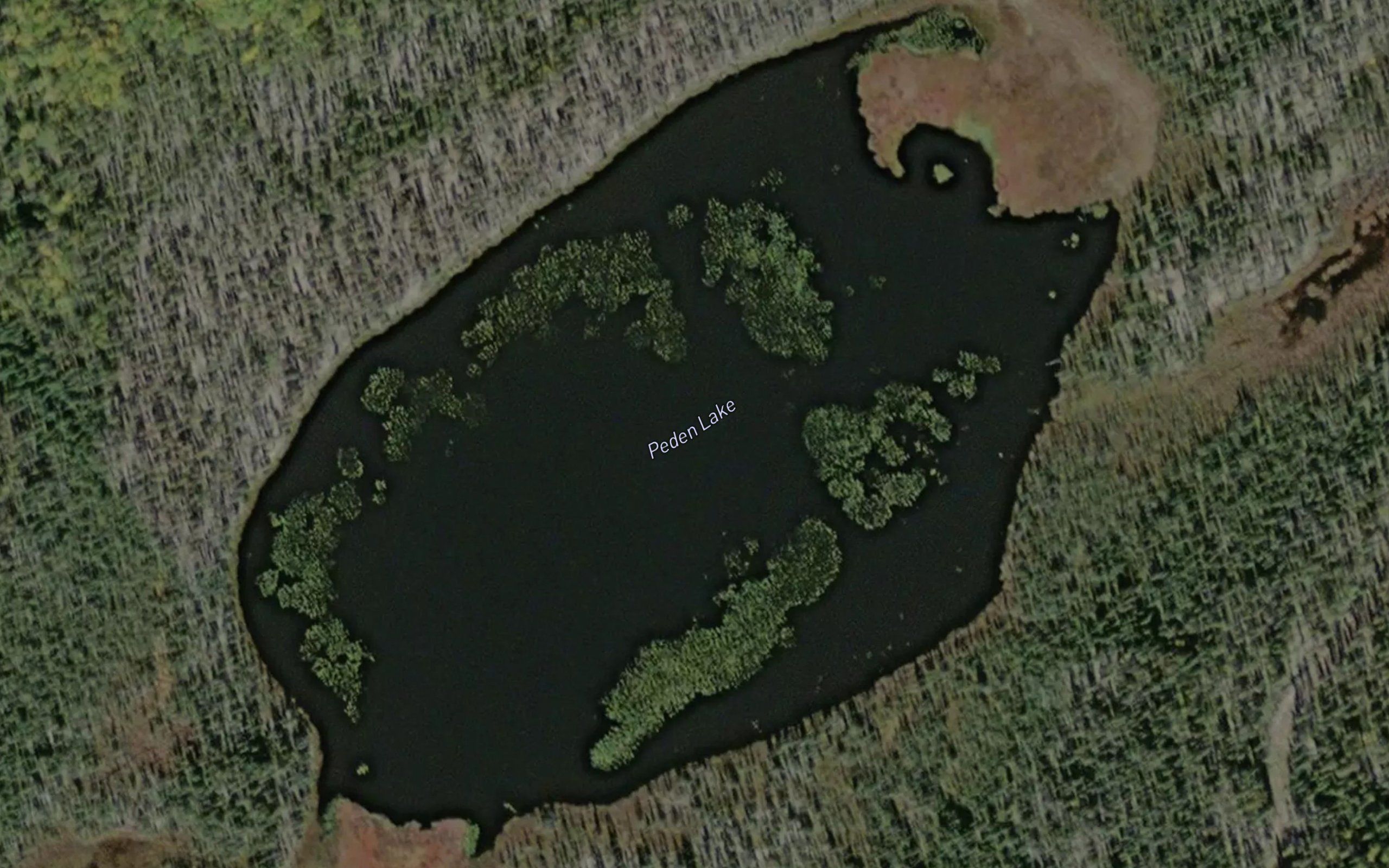 Peden Lake