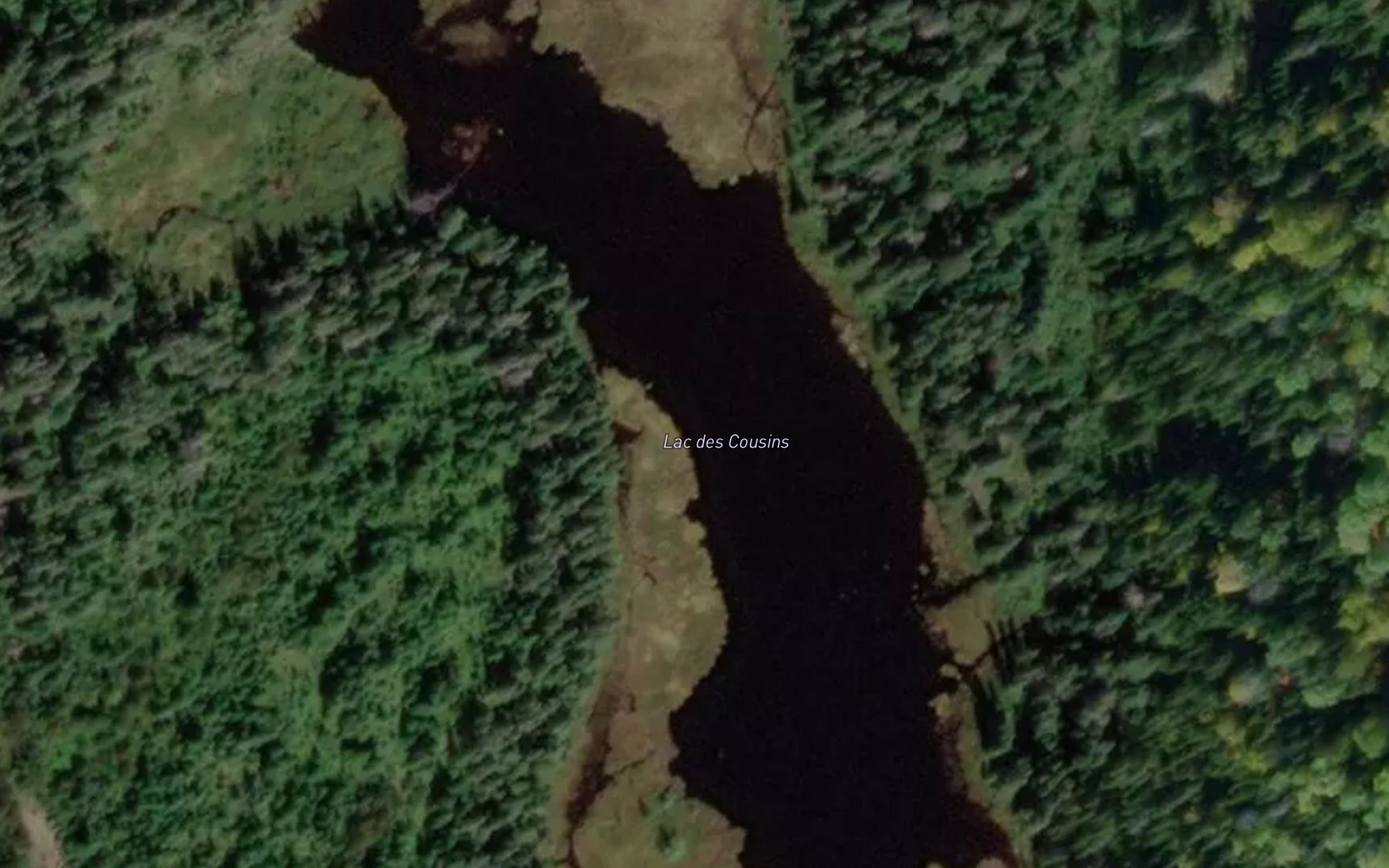 Satellite map of the Lac des Cousins