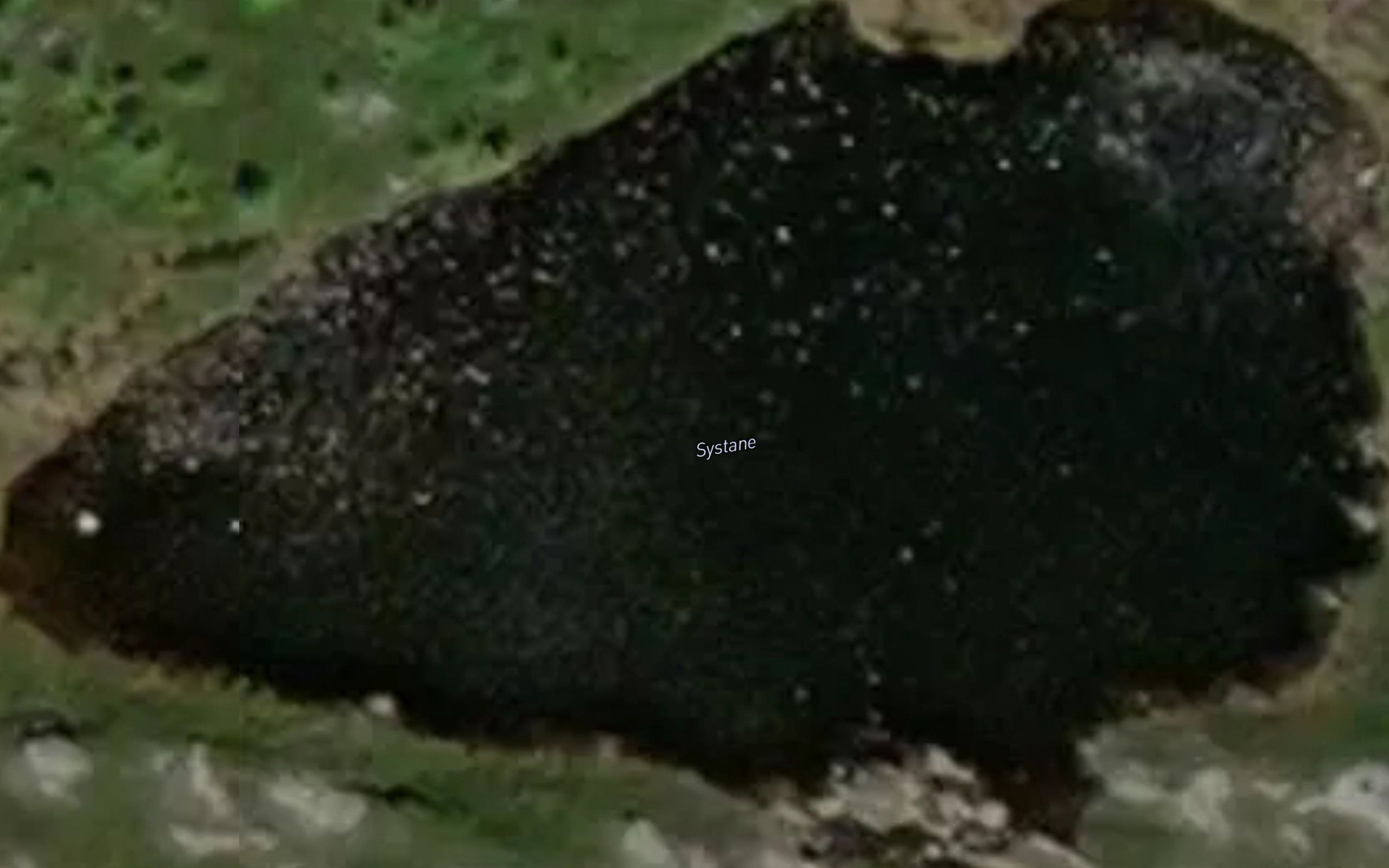 Systane