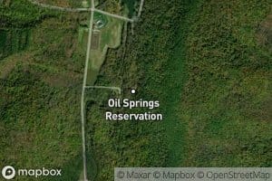 Seneca Oil Spring