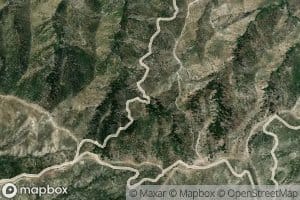 Quail Spring