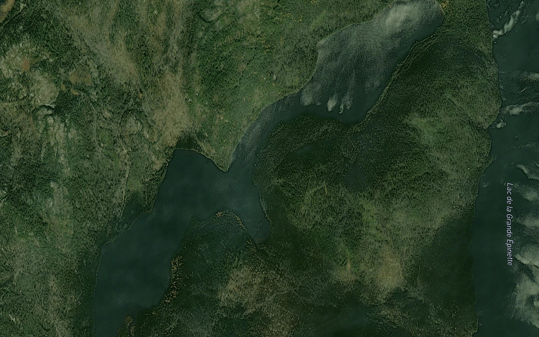 Satellite map of the Lac de la Petite Epinette