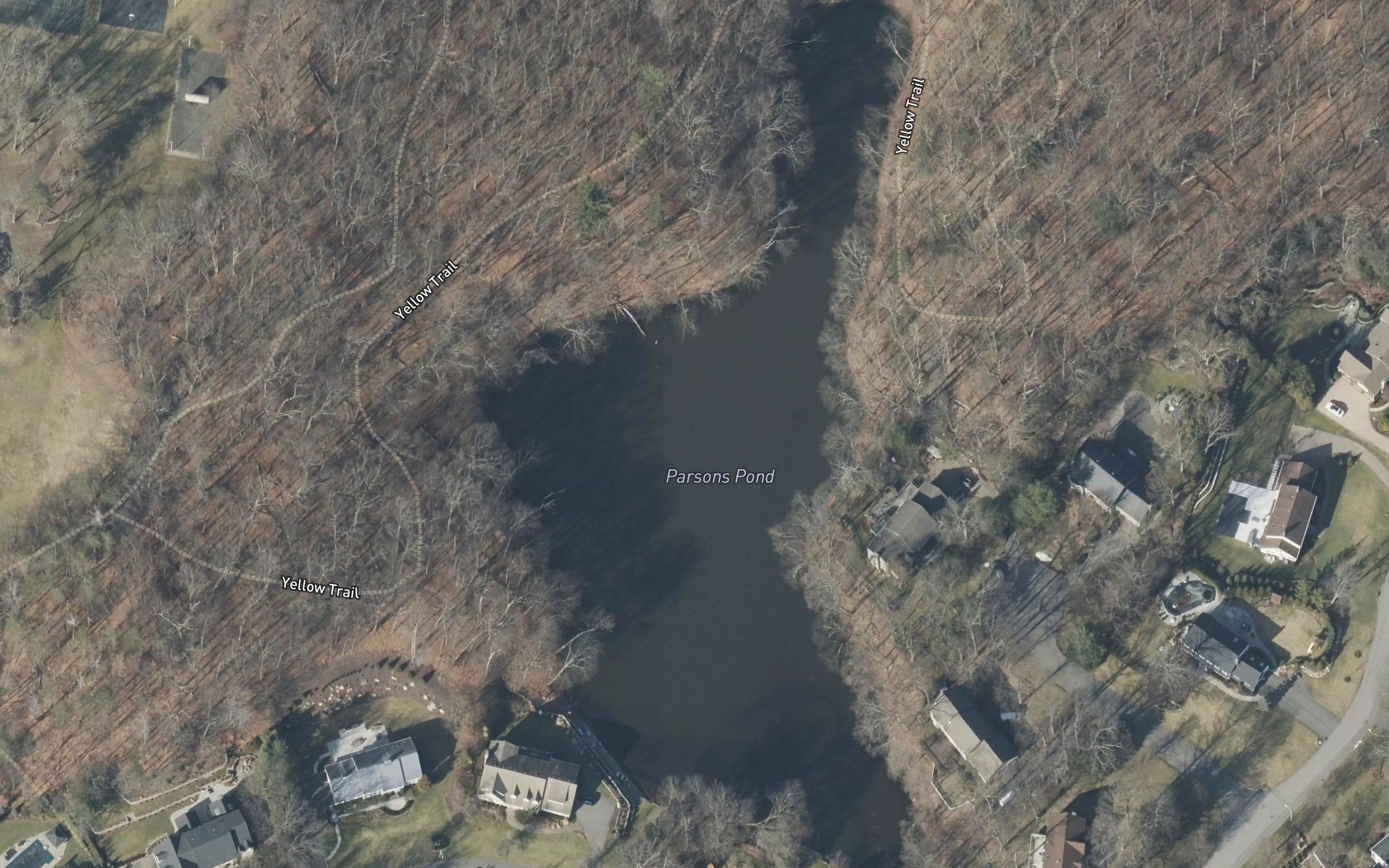 Parsons Pond
