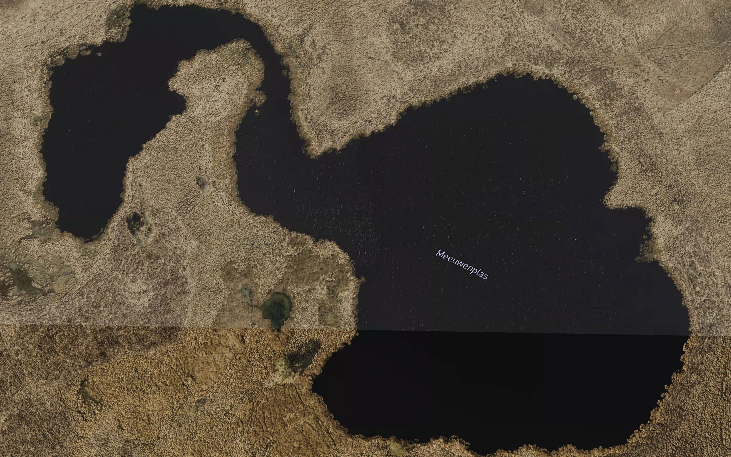 Meeuwenplas
