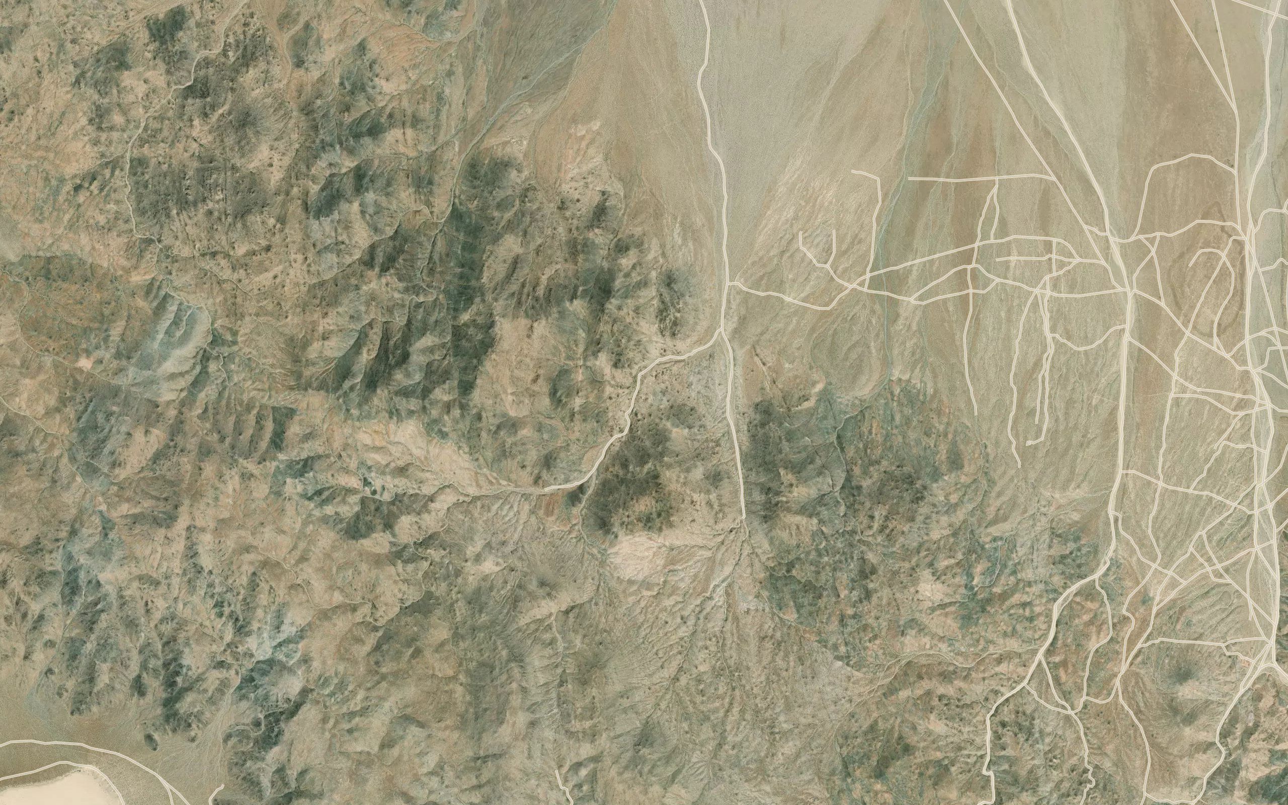 Desert King Spring