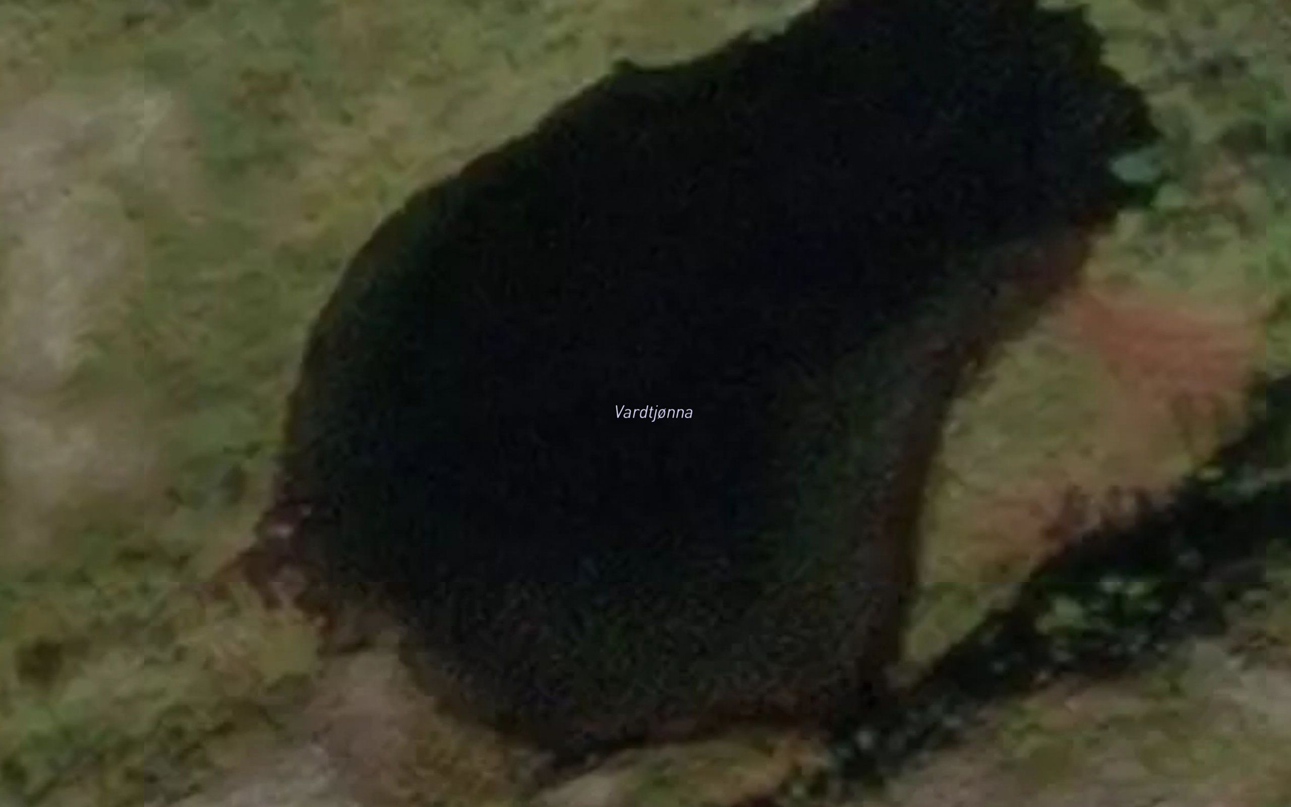 Vardtjonna