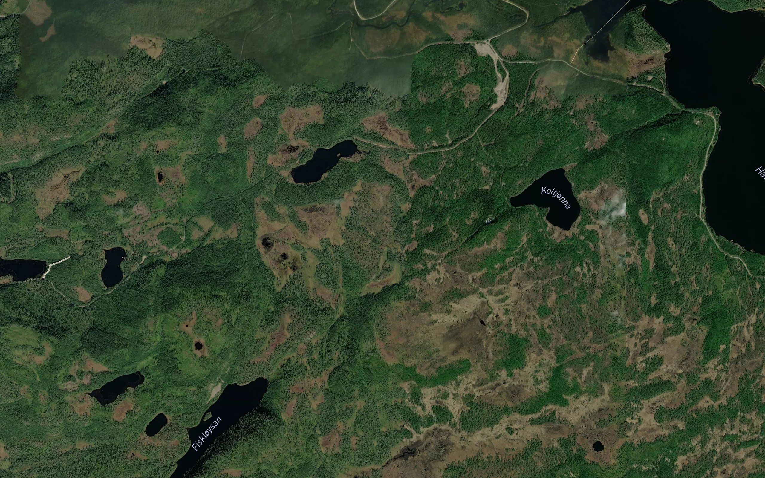 Kalddeklet