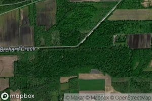 Manning Muckland Creek