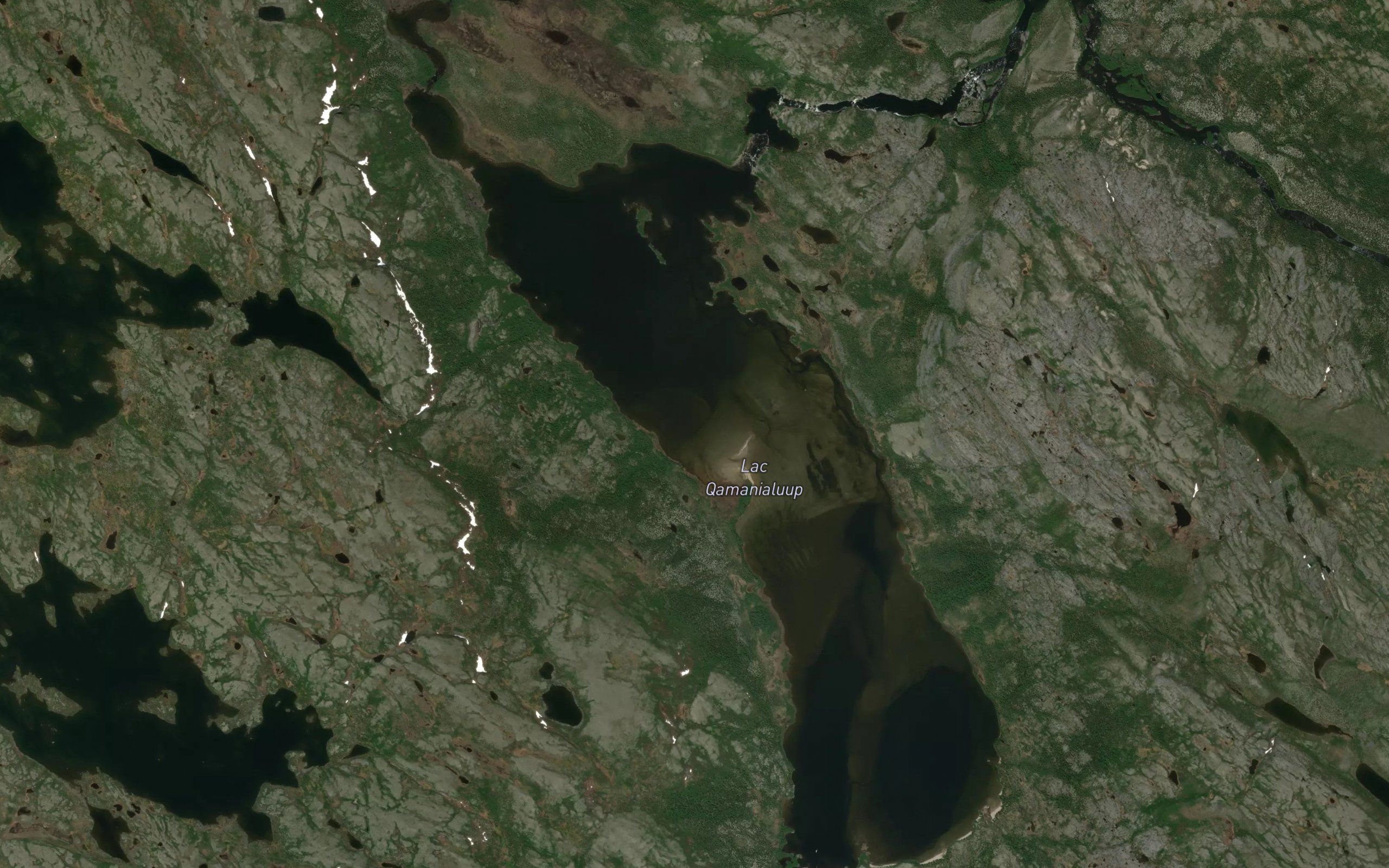 Lac Qamanialuup