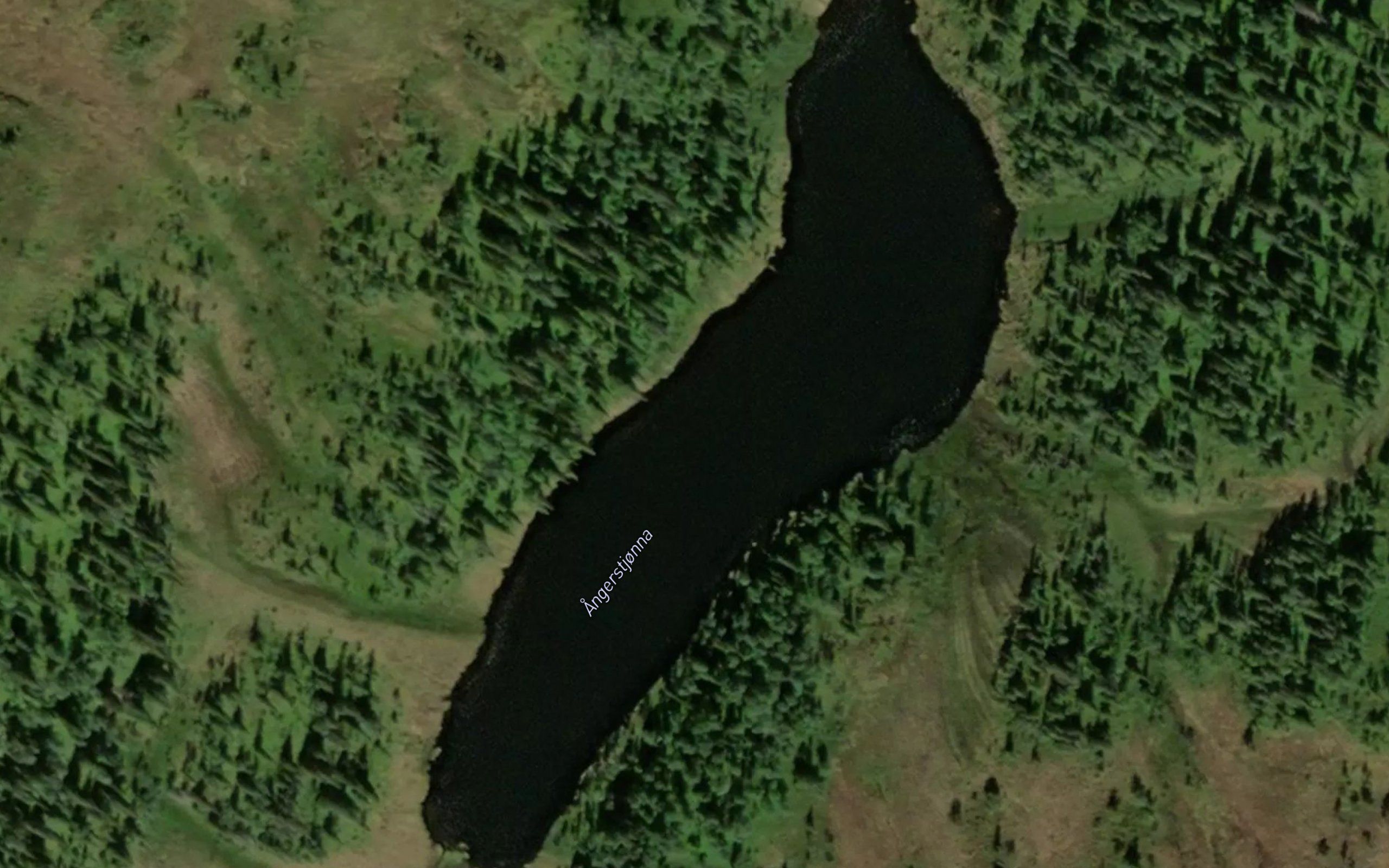 Angerstjorna