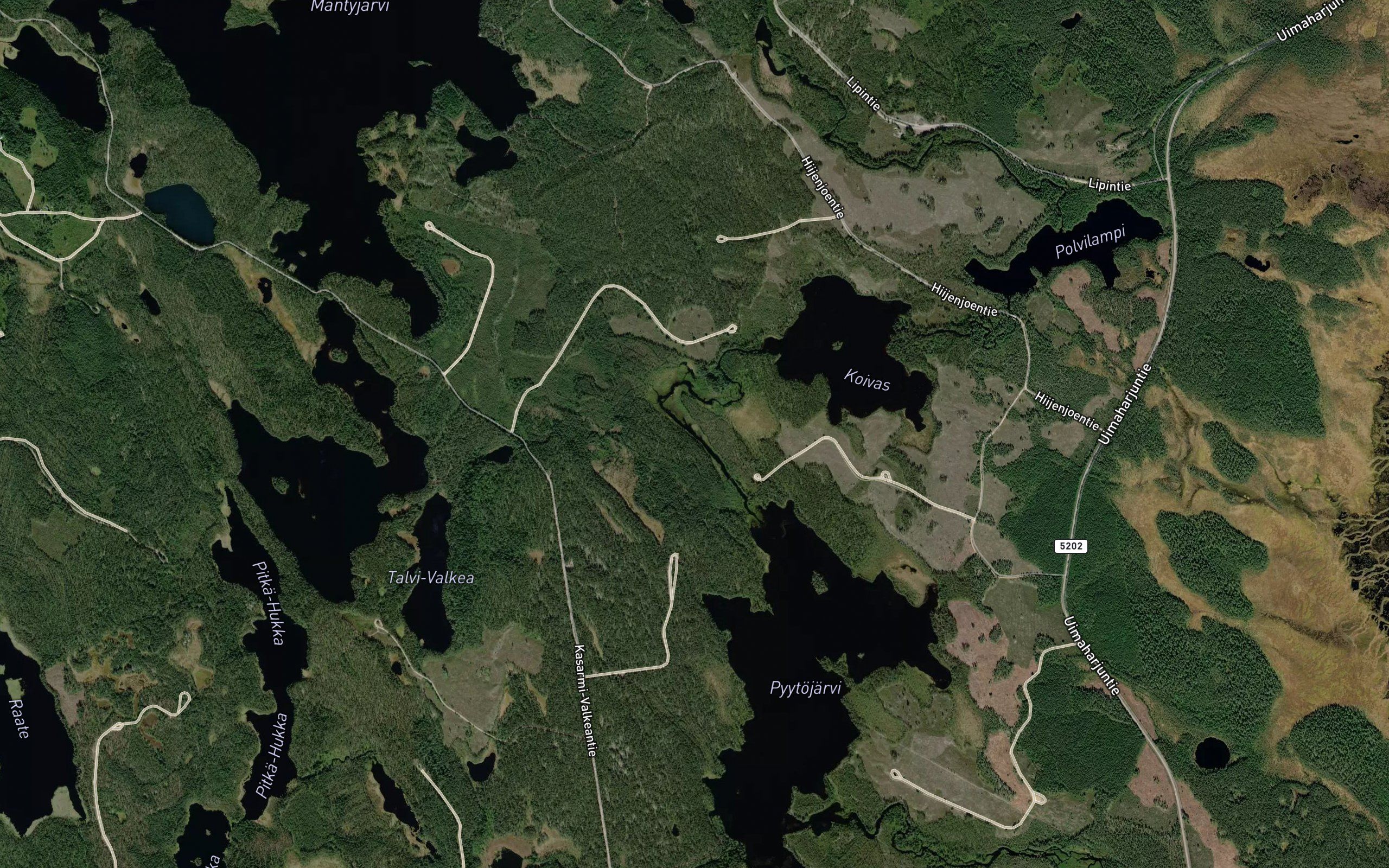 Koivaanjoki