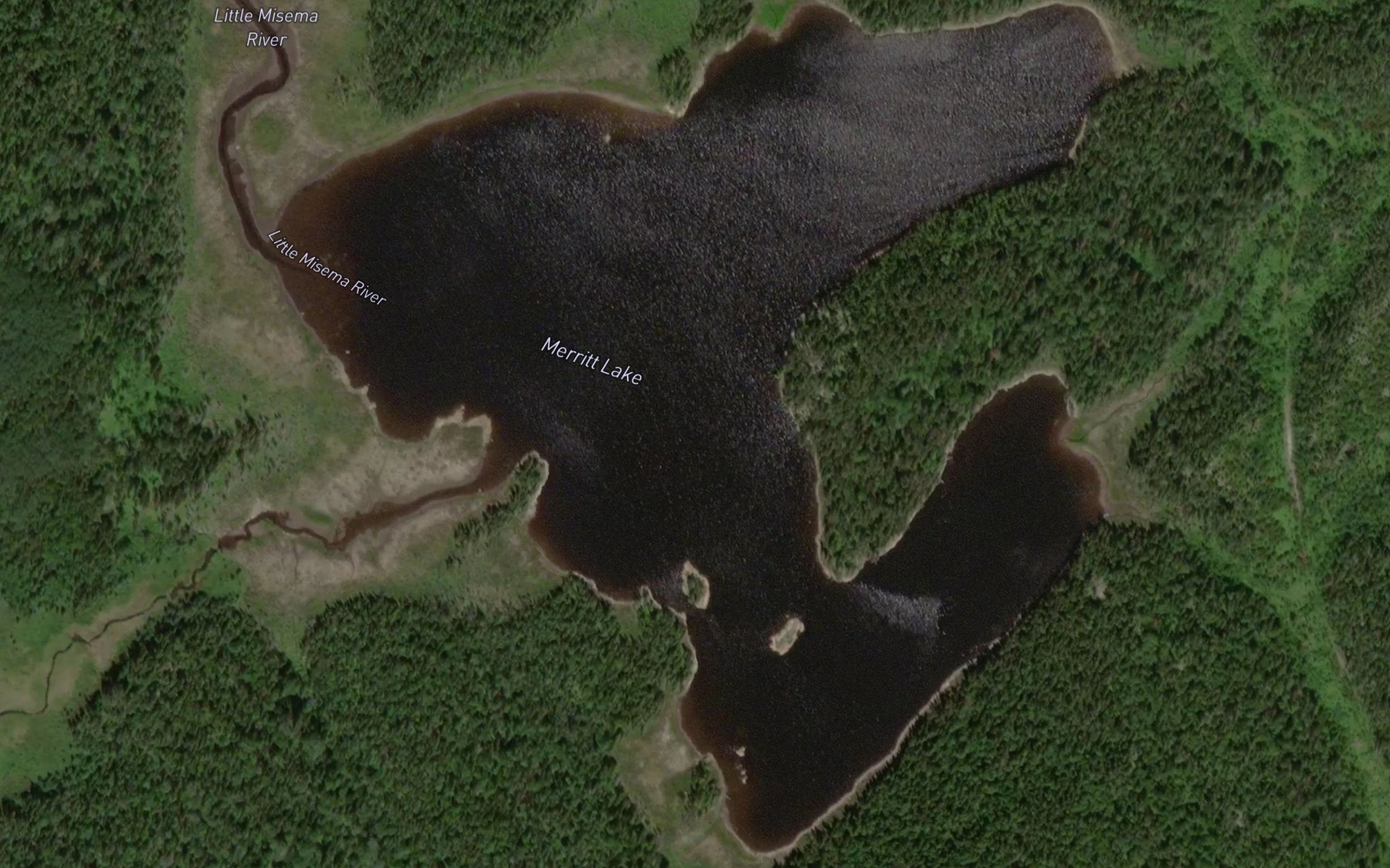 Satellite map of the Merritt Lake