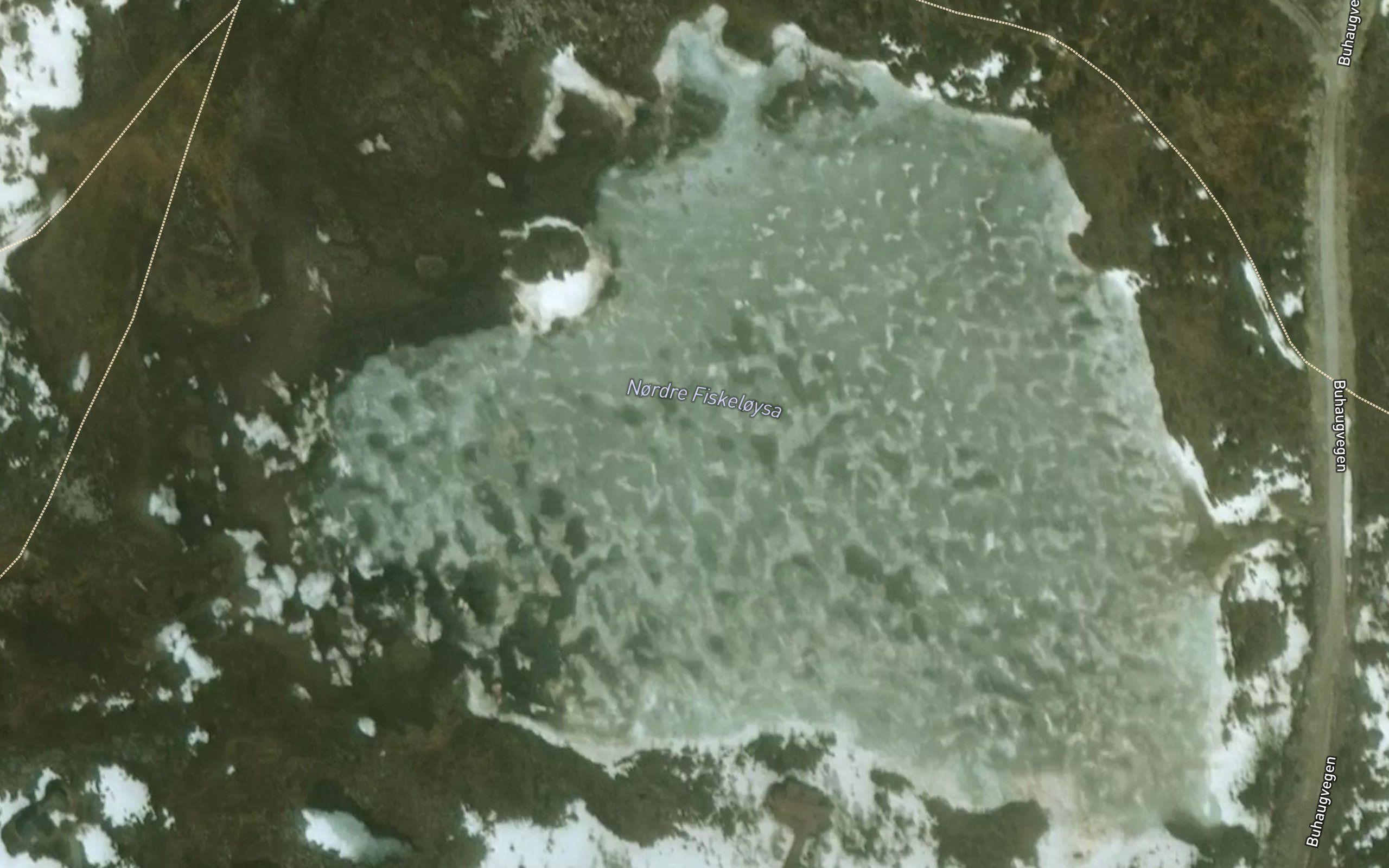 Fiskeloysa
