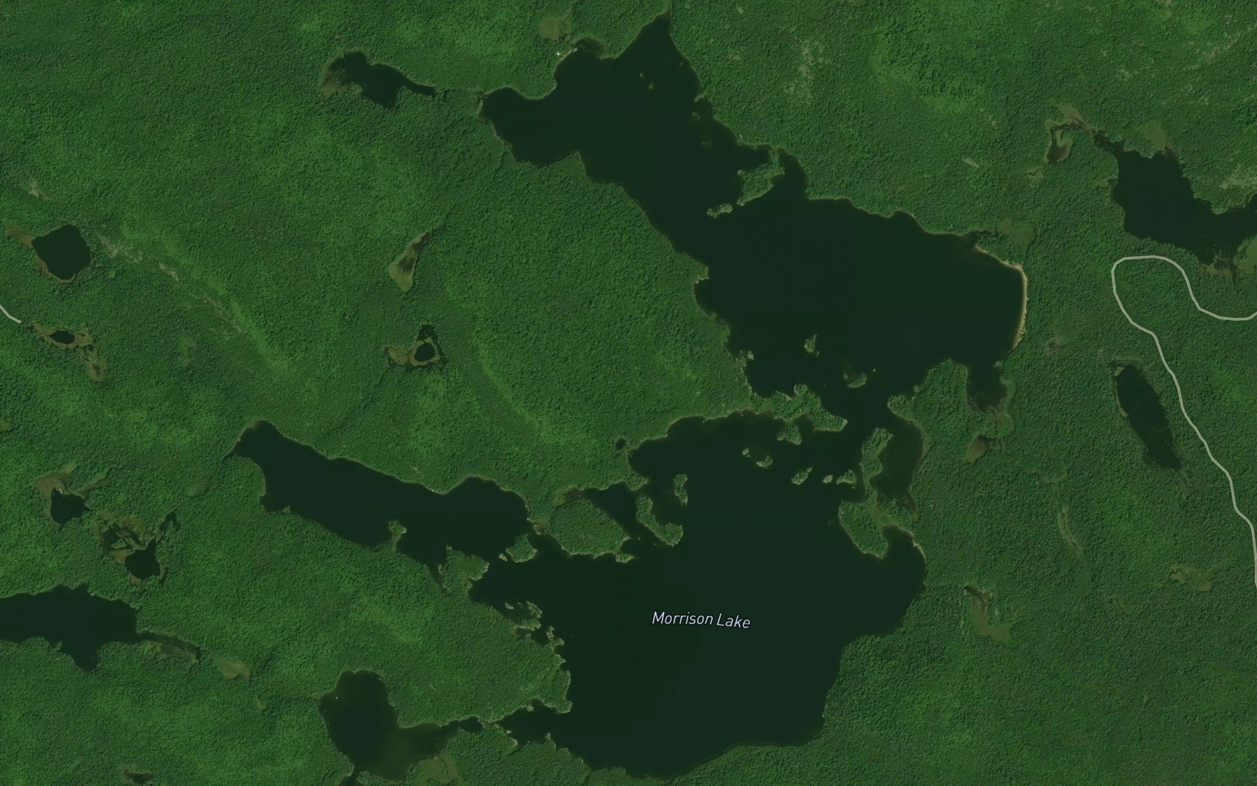 Satellite map of the Morrison Lake