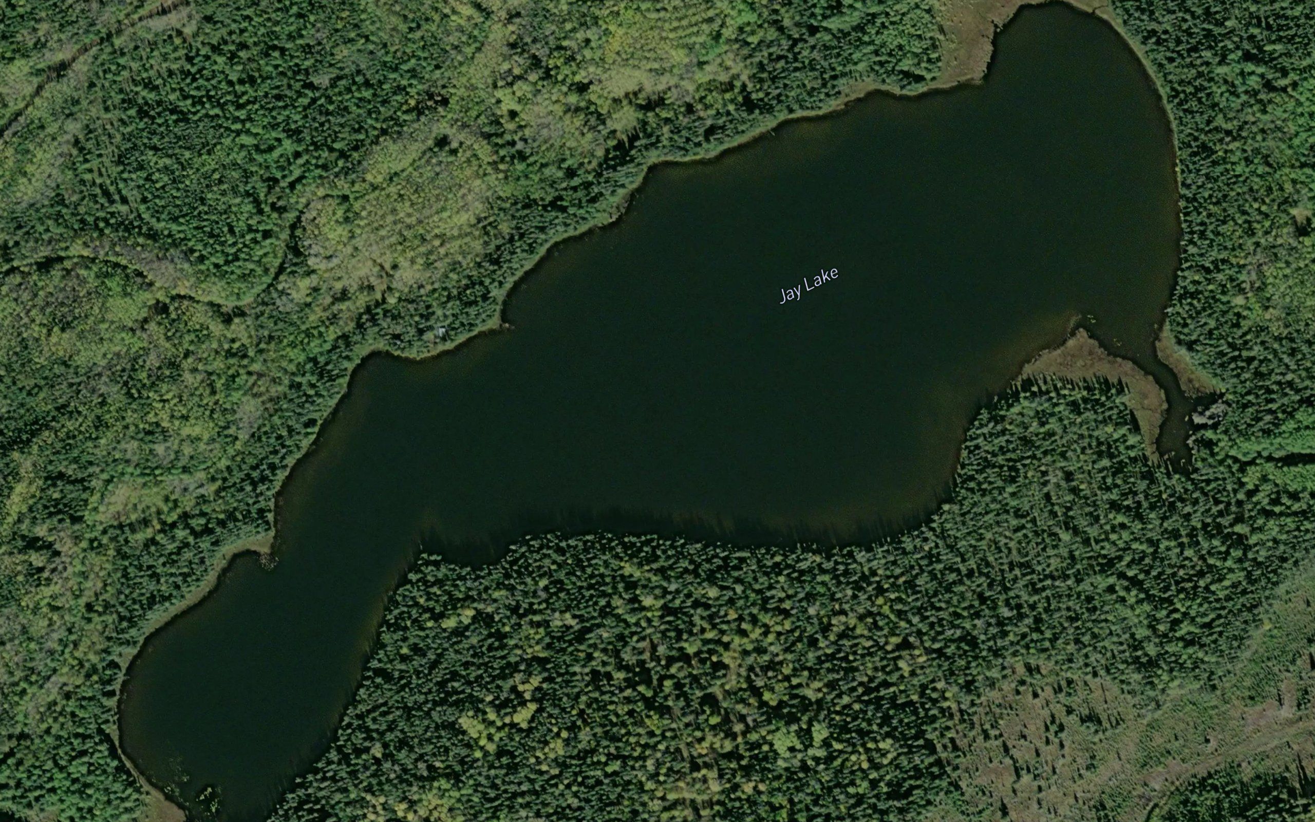 Jay Lake
