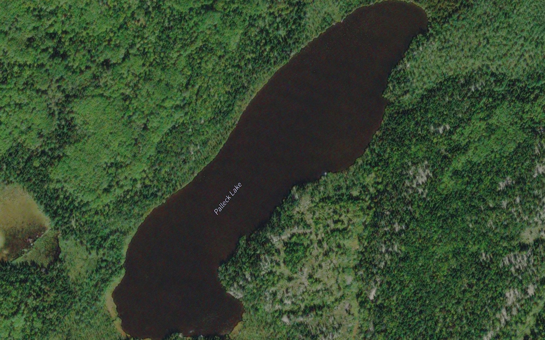 Satellite map of the Palleck Lake