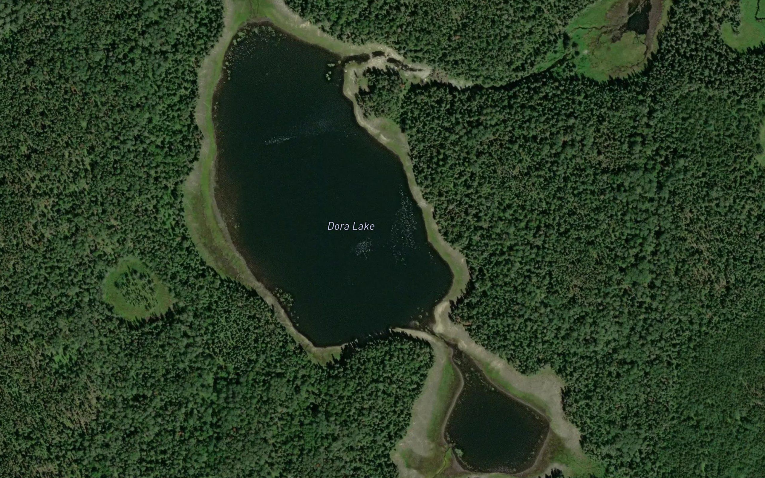 Dora Lake
