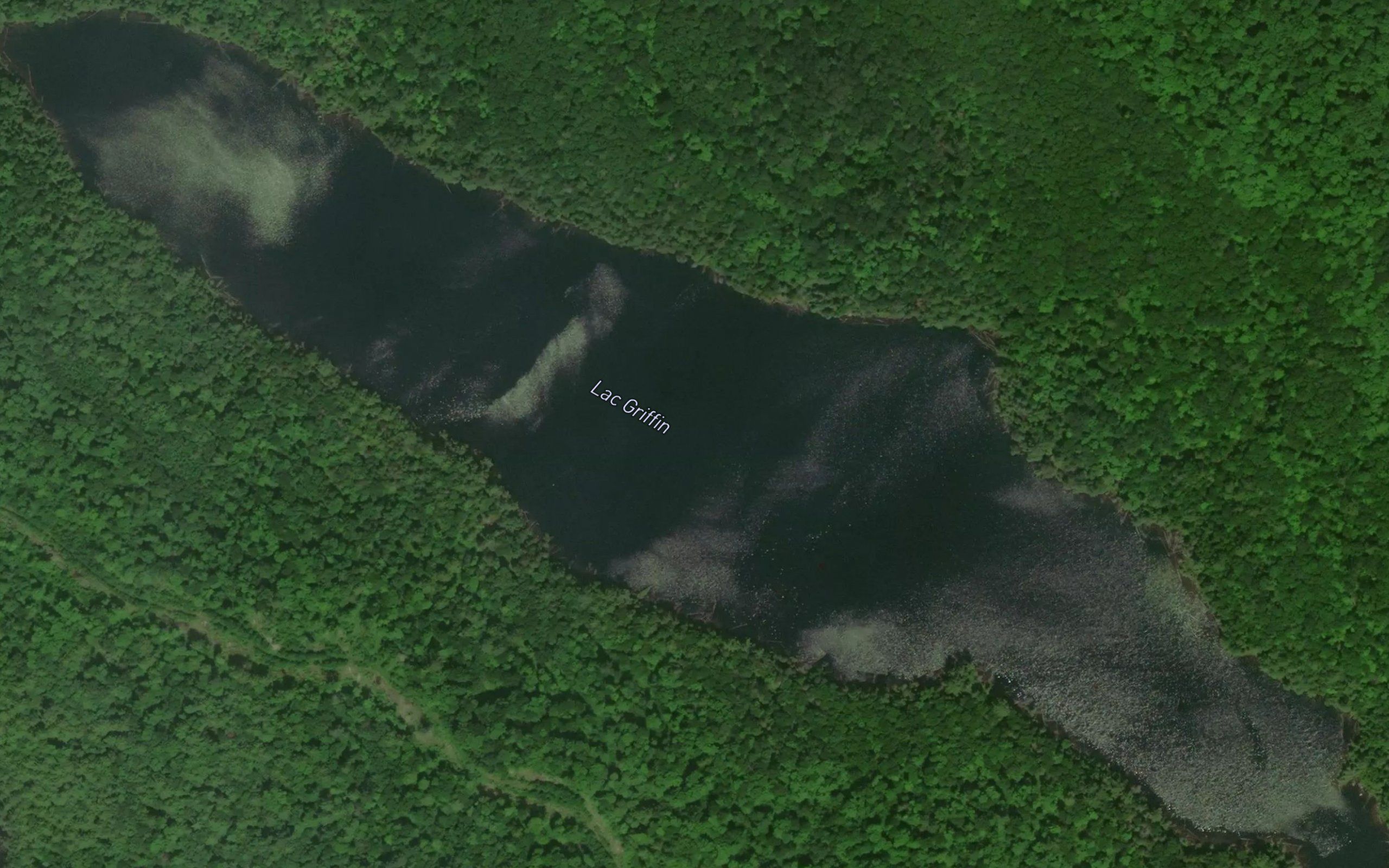 Lac Griffin