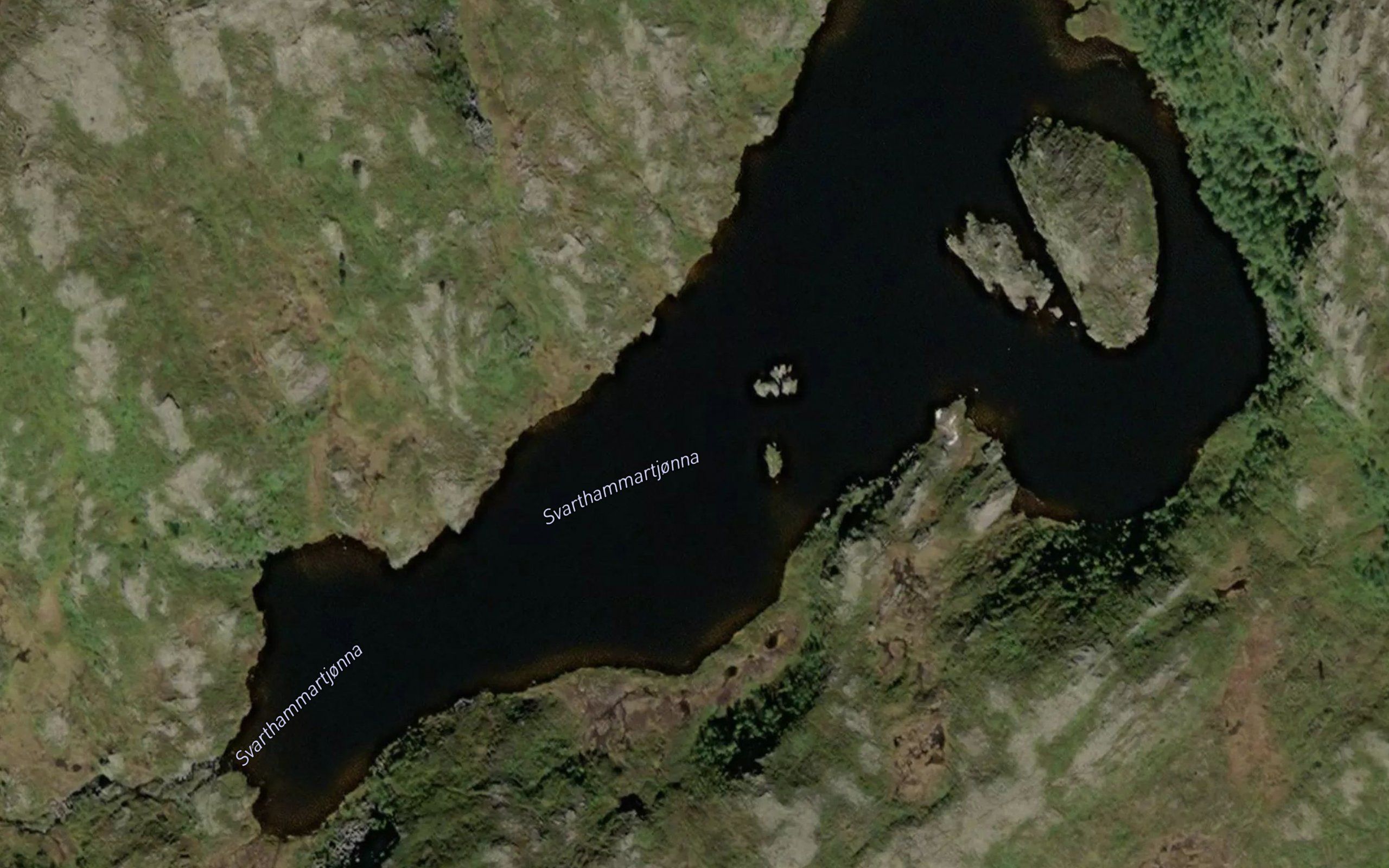 Svarthammartjorna