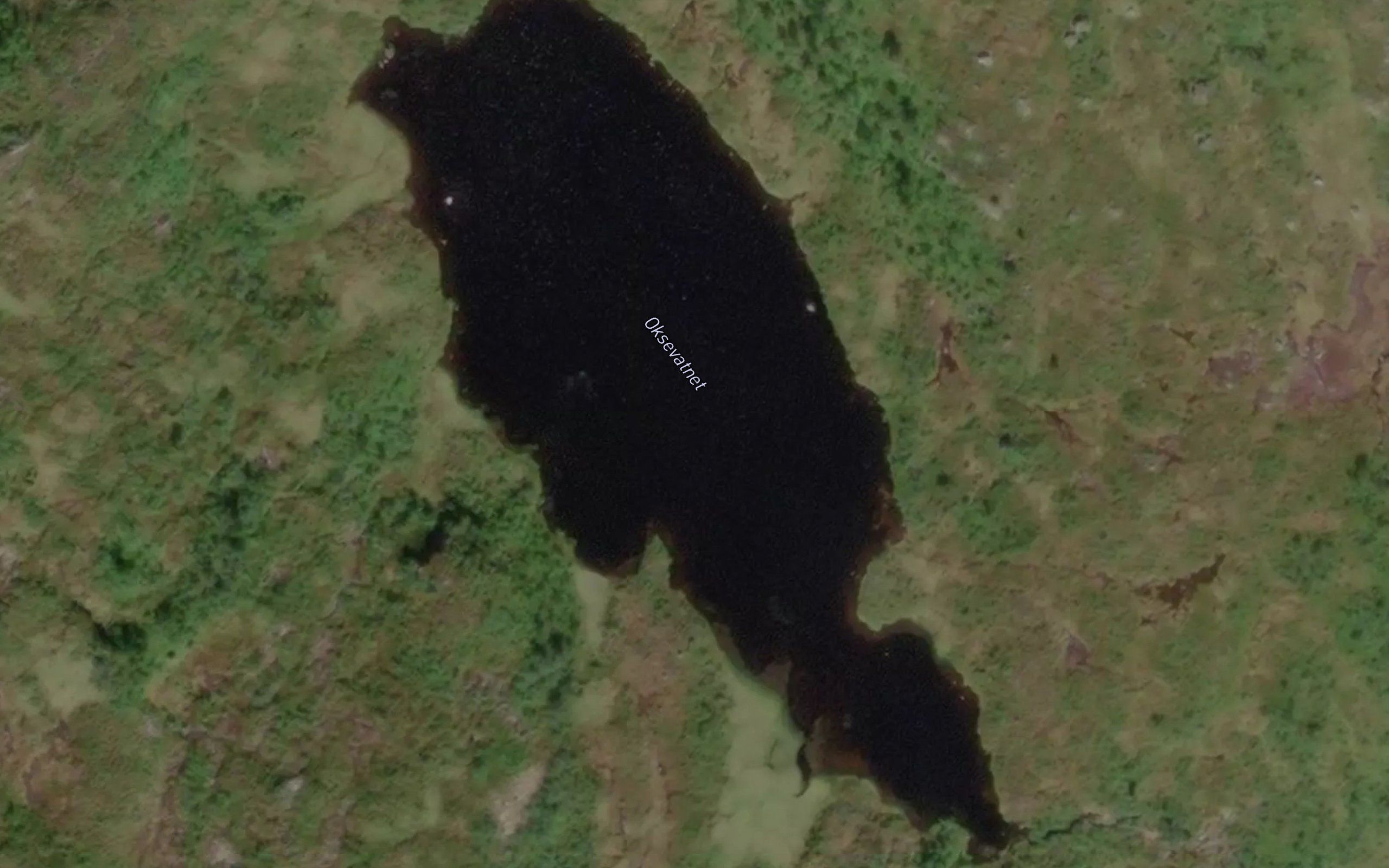 Oksevatnet