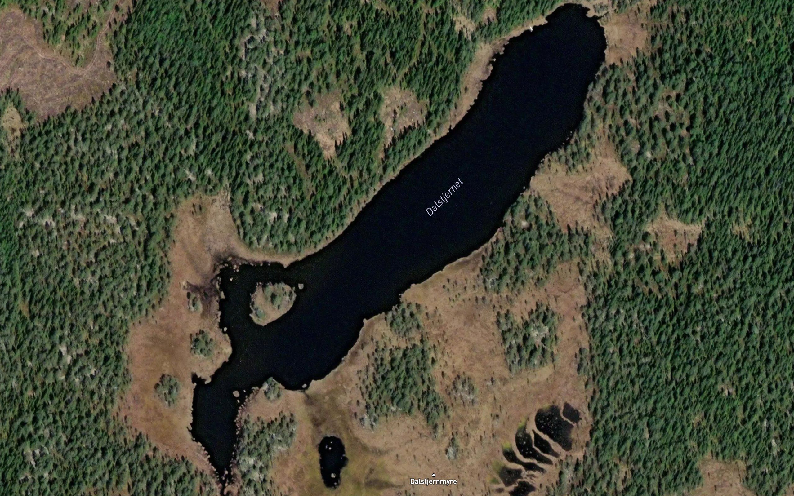 Dalstjernet
