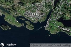Ellingvika