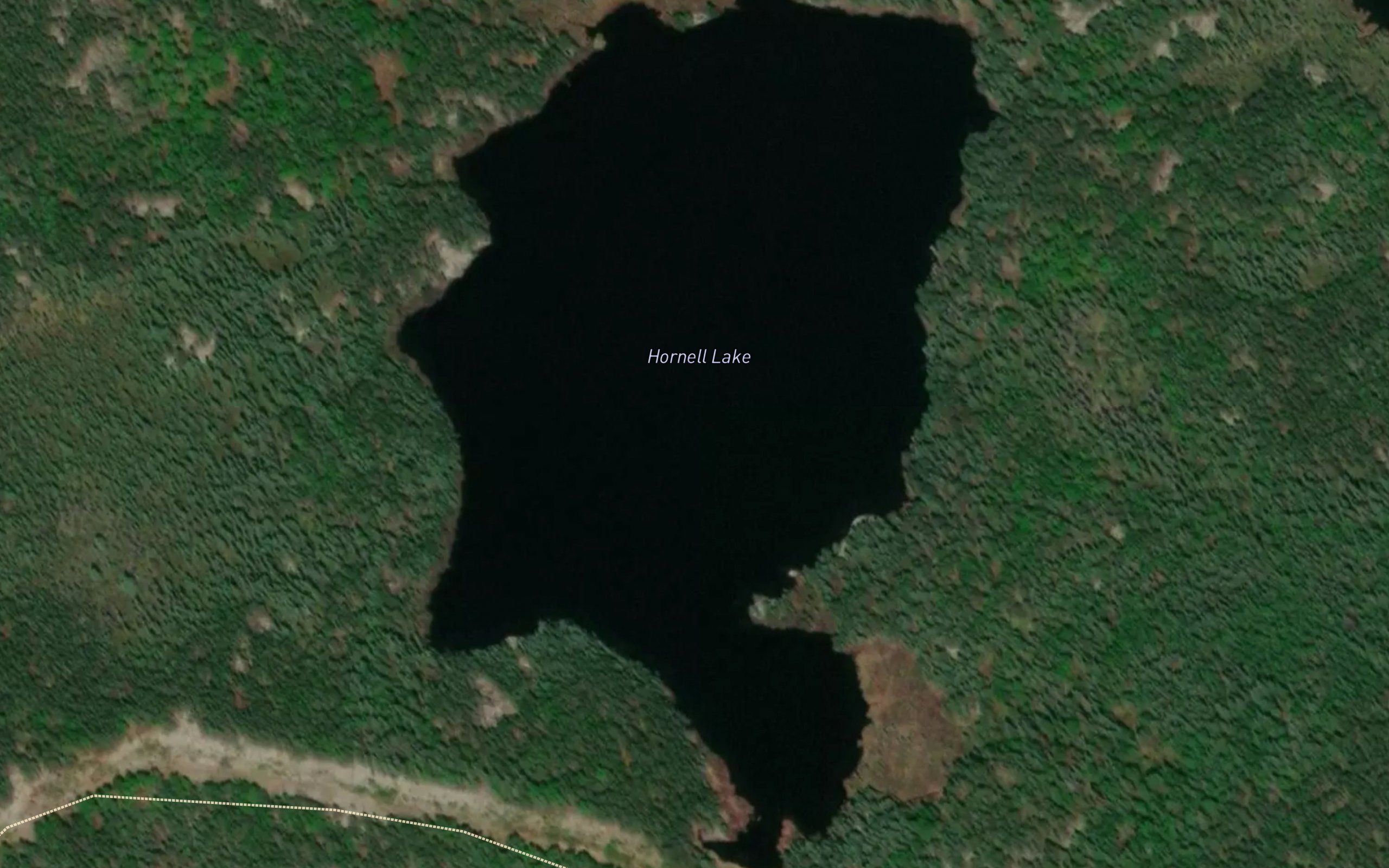 Hornell Lake