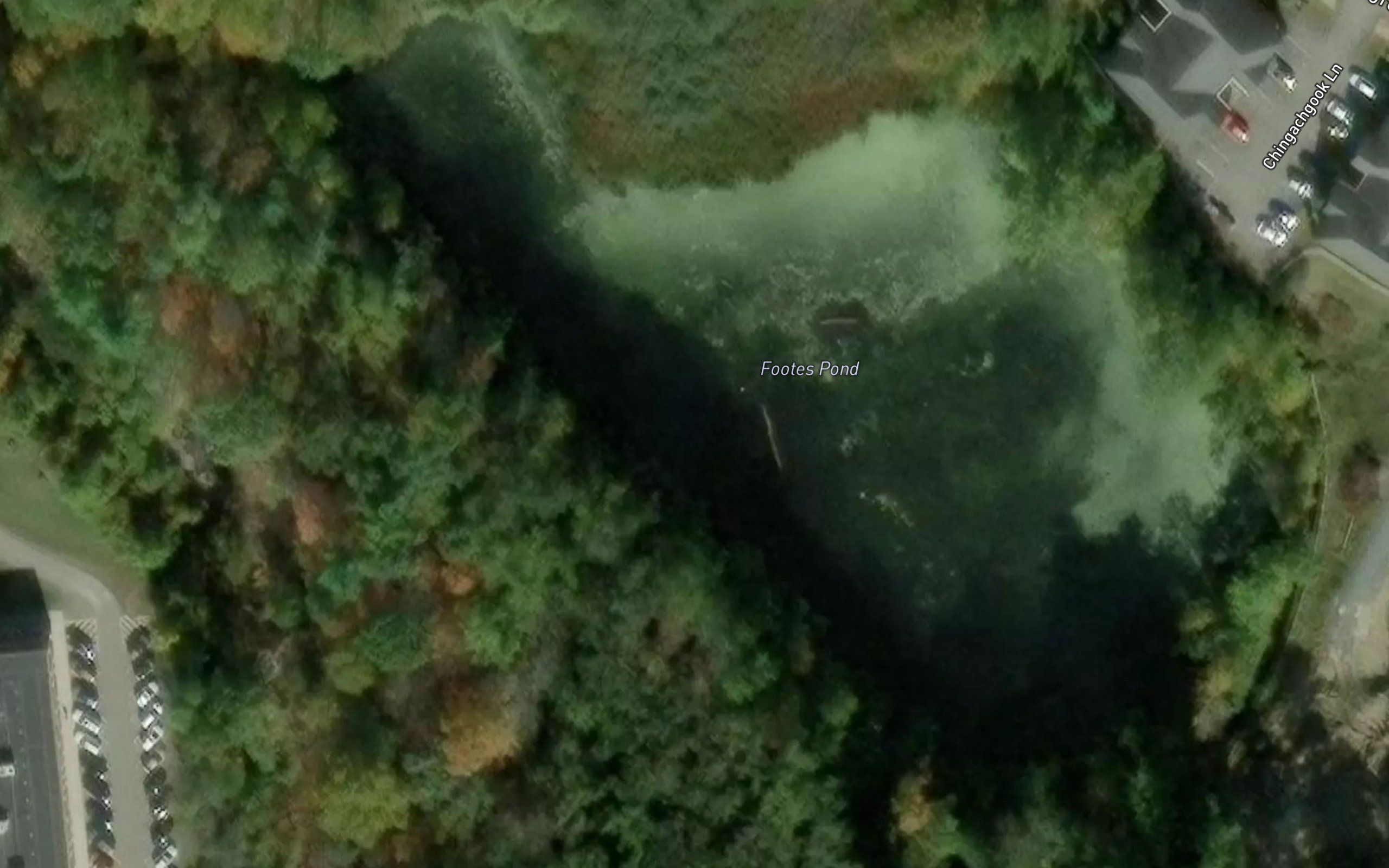 Footes Pond