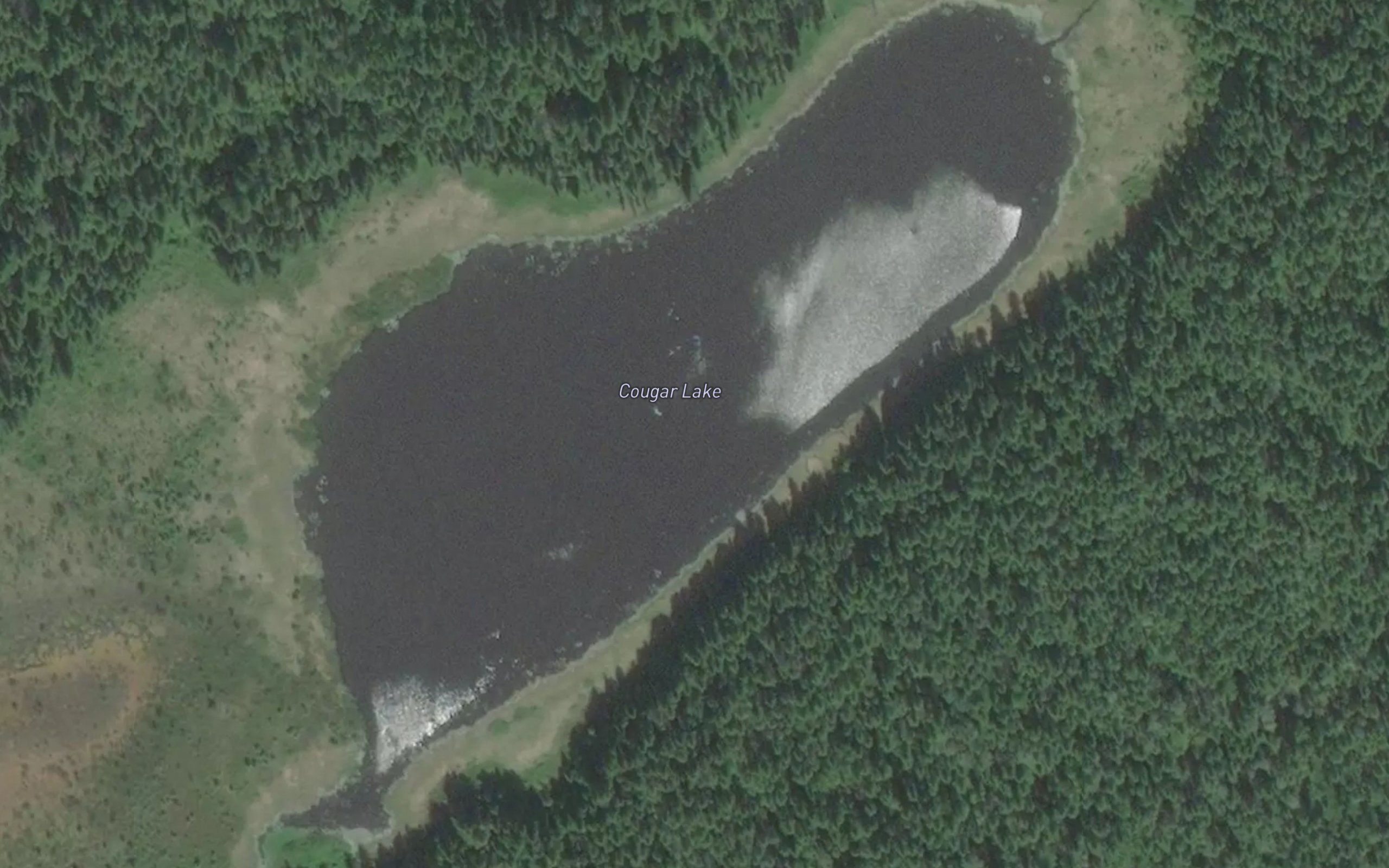 Cougar Lake