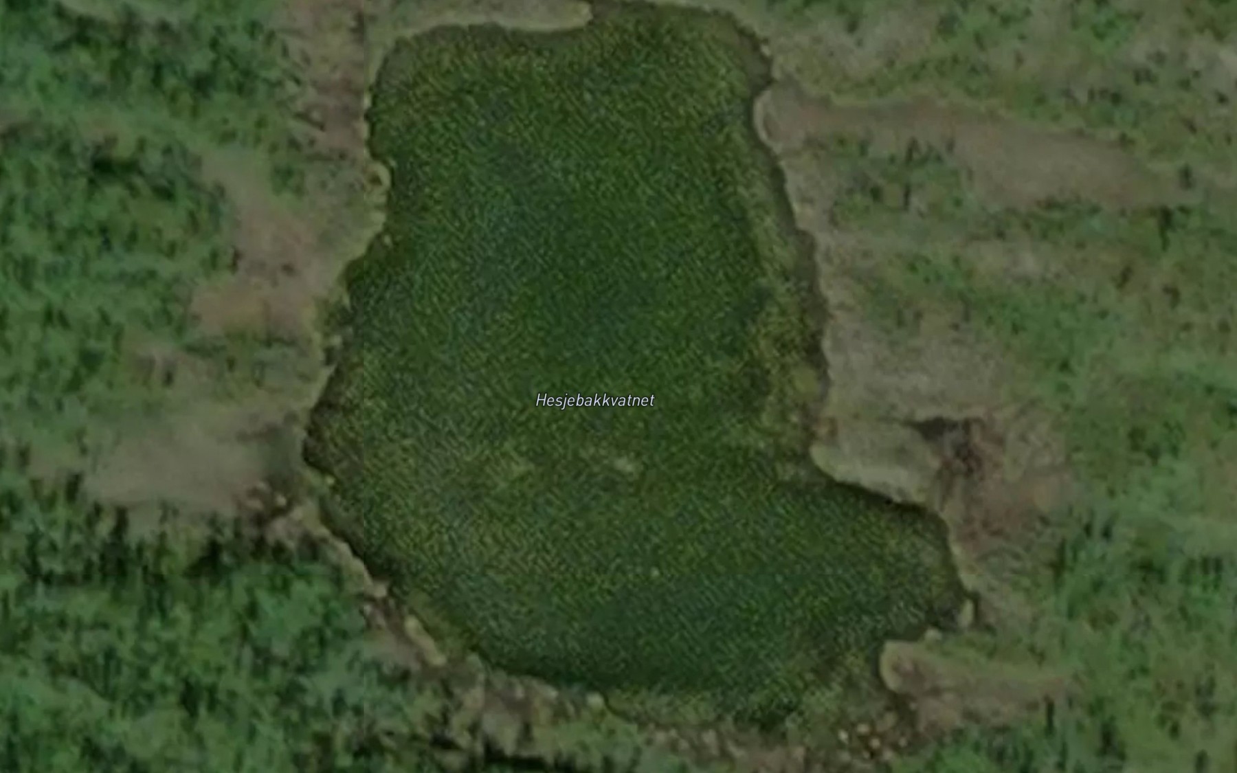 Satellite map of the Hesjebakkvatnet