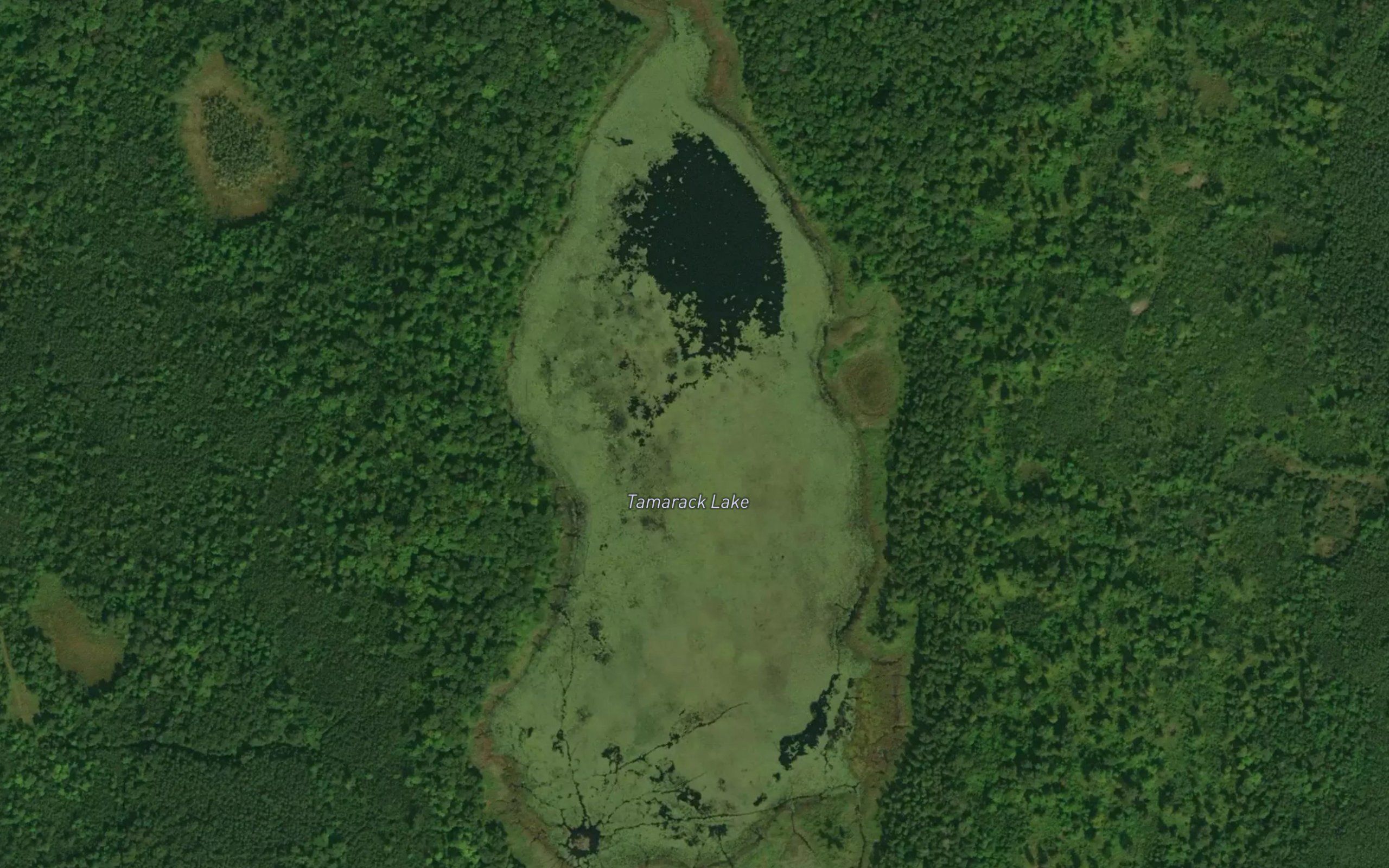 Tamarack Lake