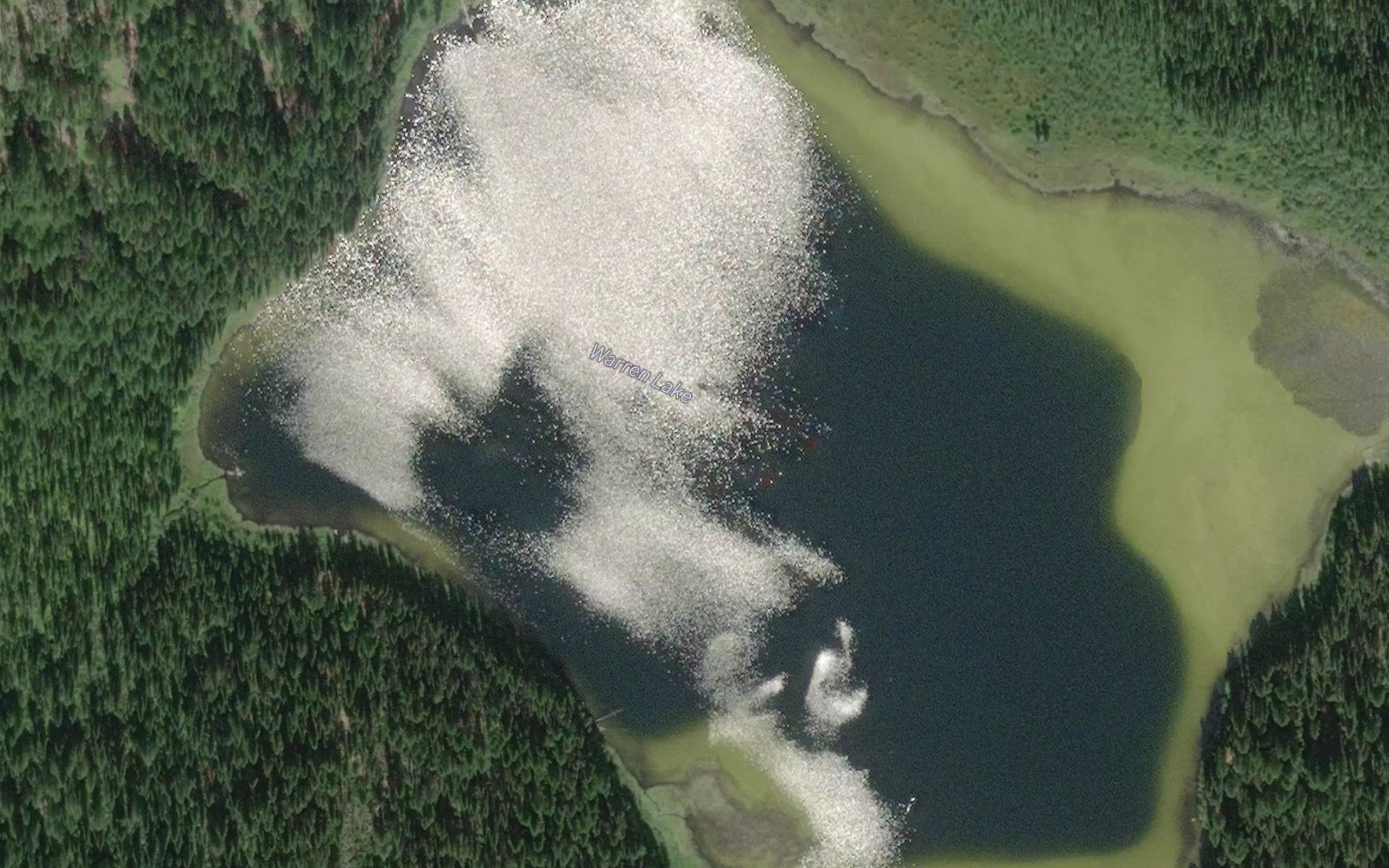 Warren Lake