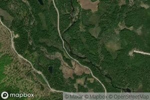 Humpback Brook