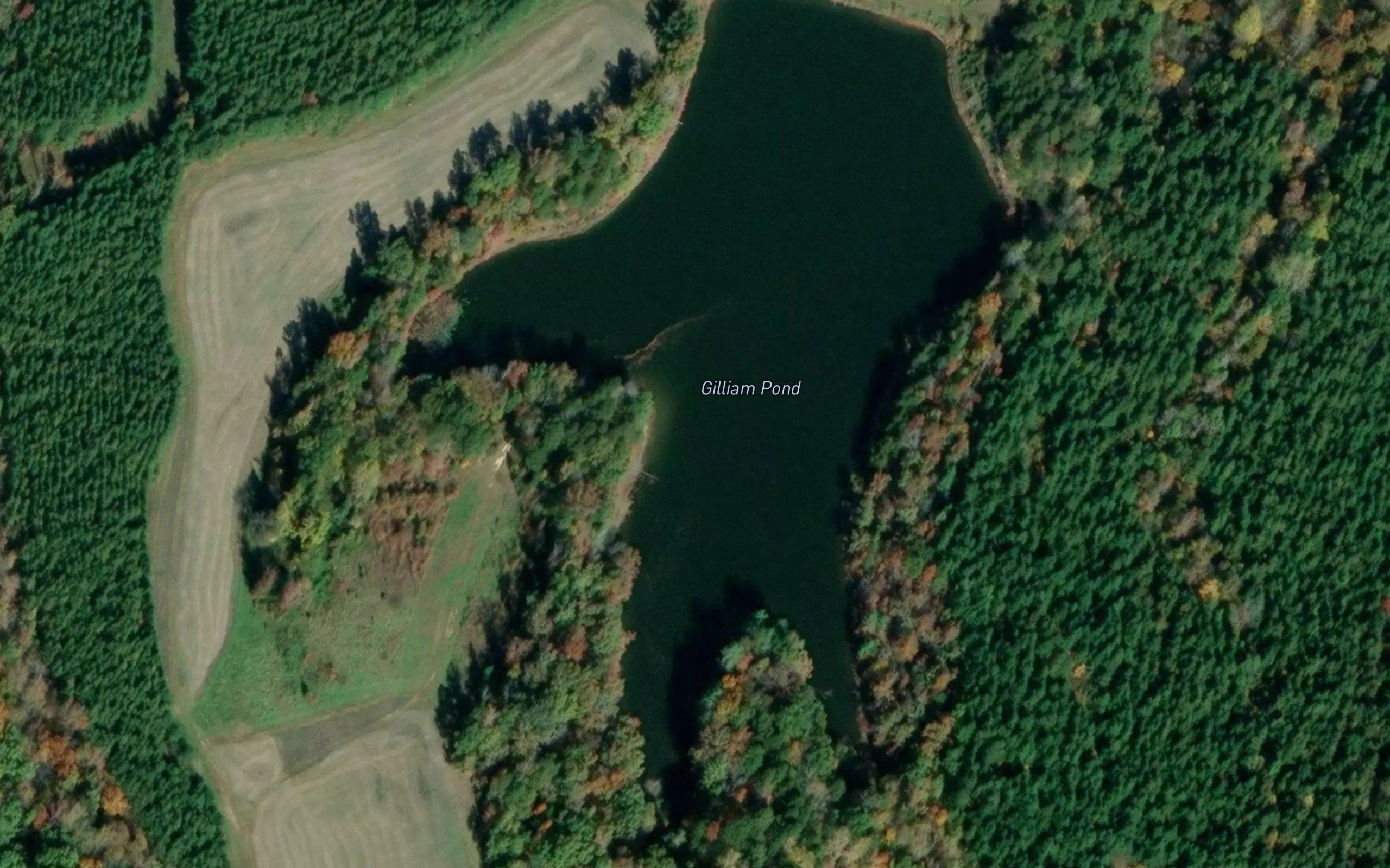 Gilliam Pond