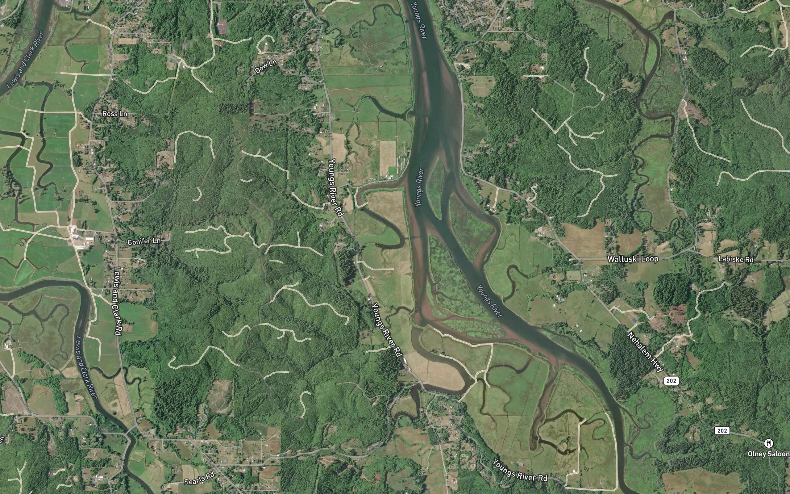 Binder Slough