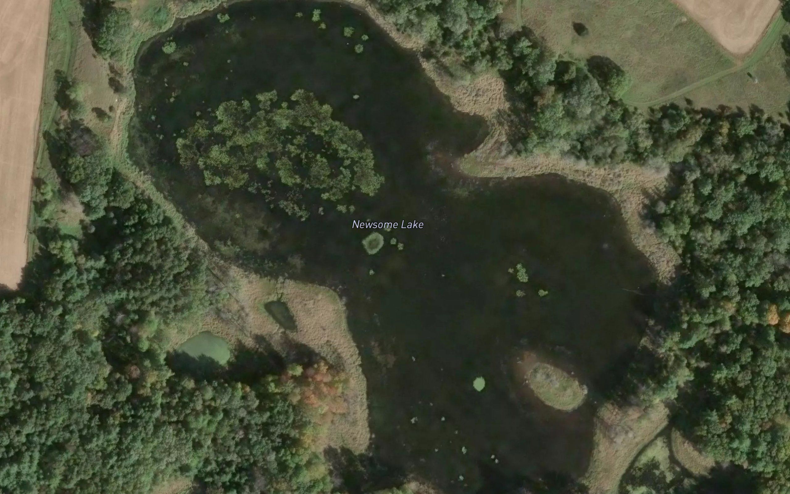 Newsome Lake