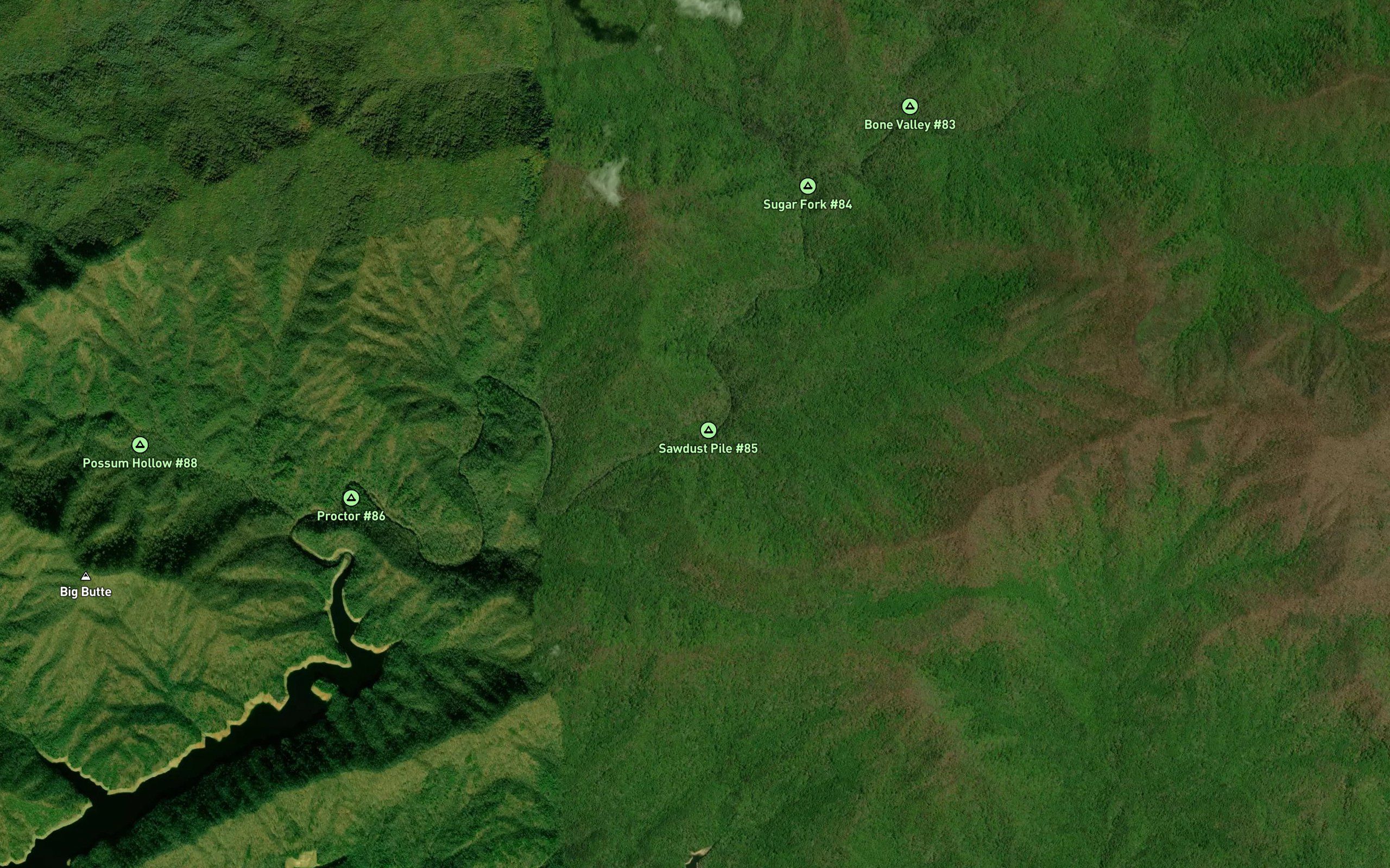 Pine Gap Branch