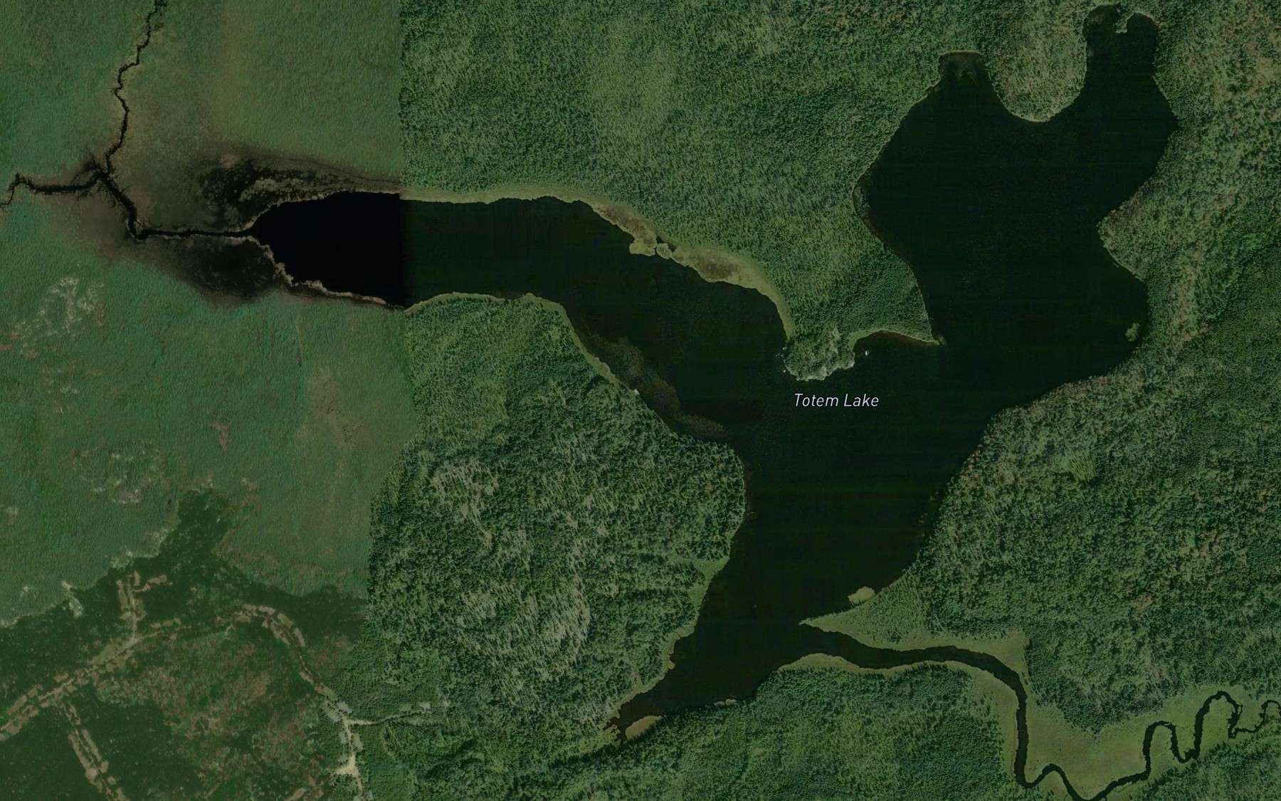 Satellite map of the Totem Lake