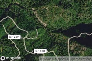 South Fork Staley Creek