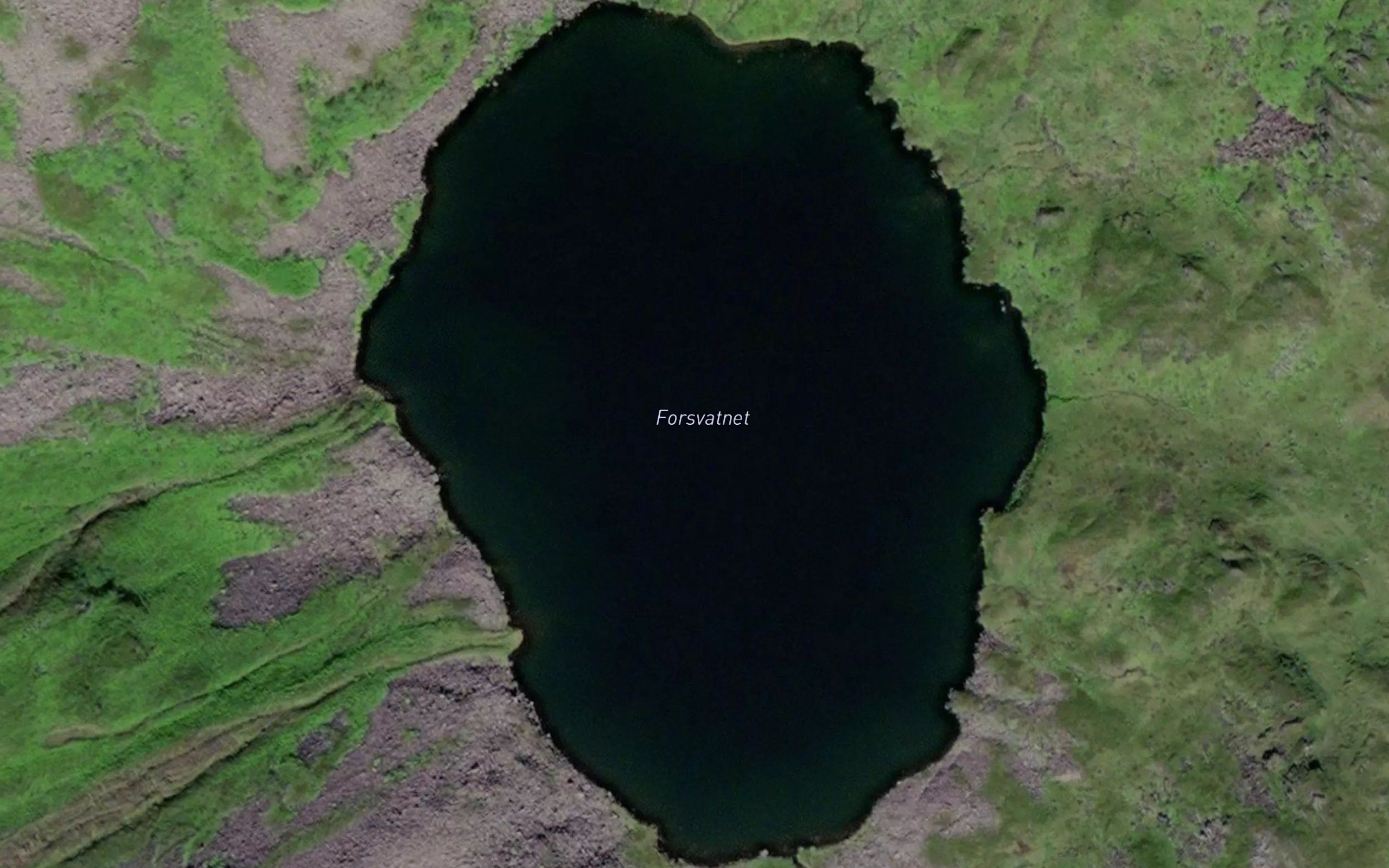 Forsvatnet