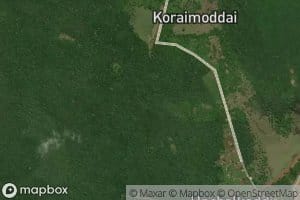 Kumilamottai Kulam