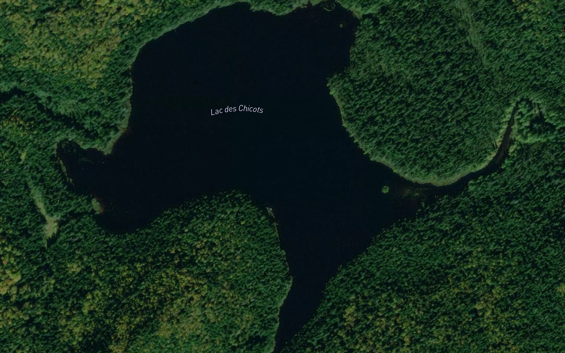 Satellite map of the Lac des Chicots