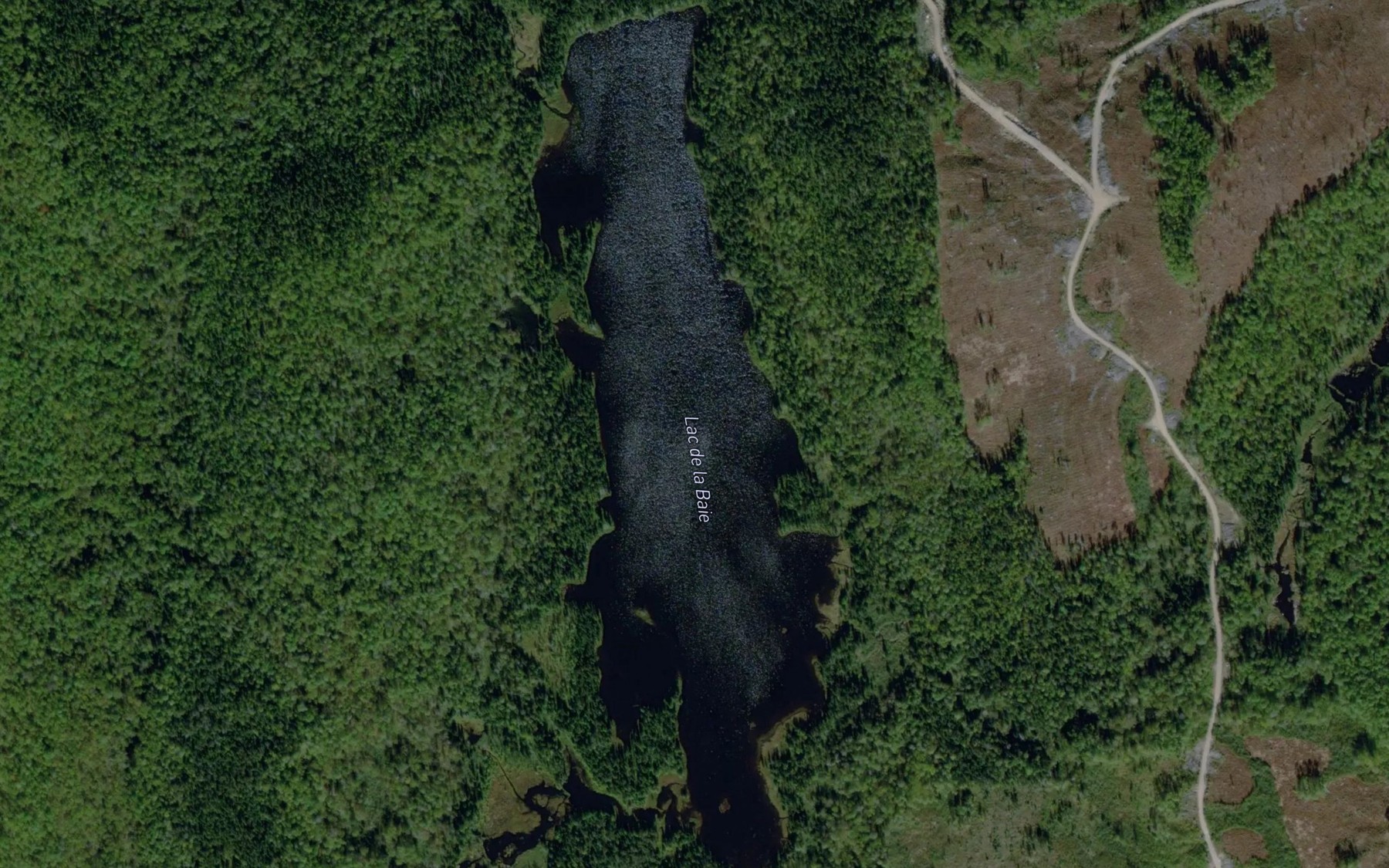 Satellite map of the Lac de la Baie