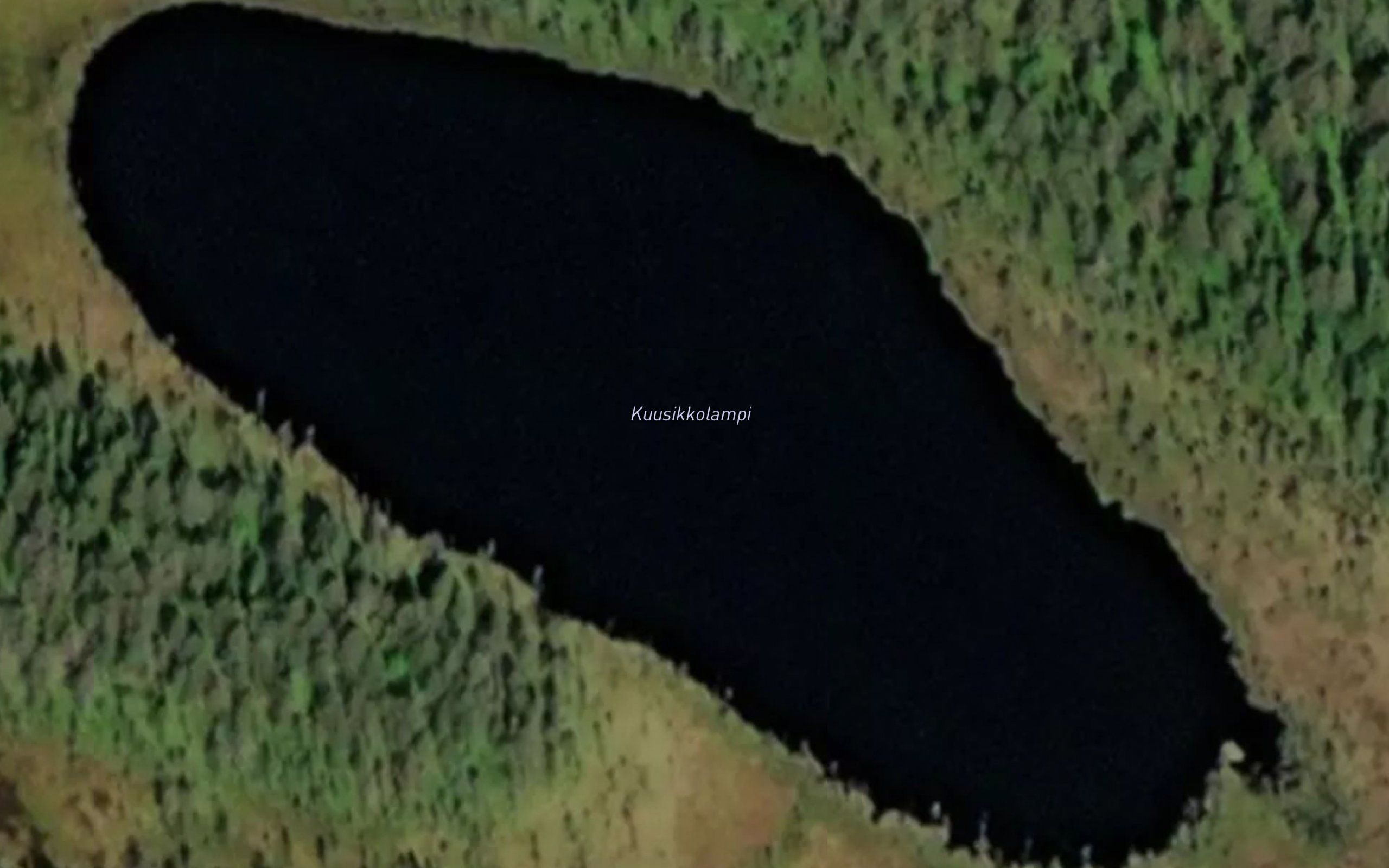 Kuusikkolampi