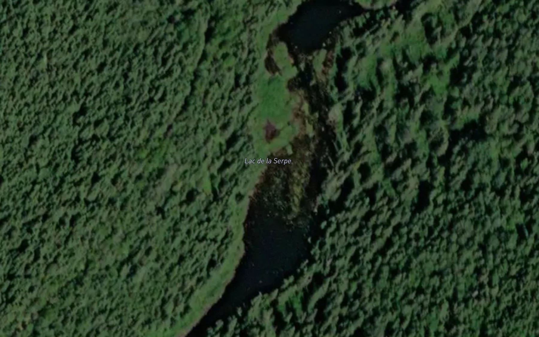 Satellite map of the Lac de la Serpe