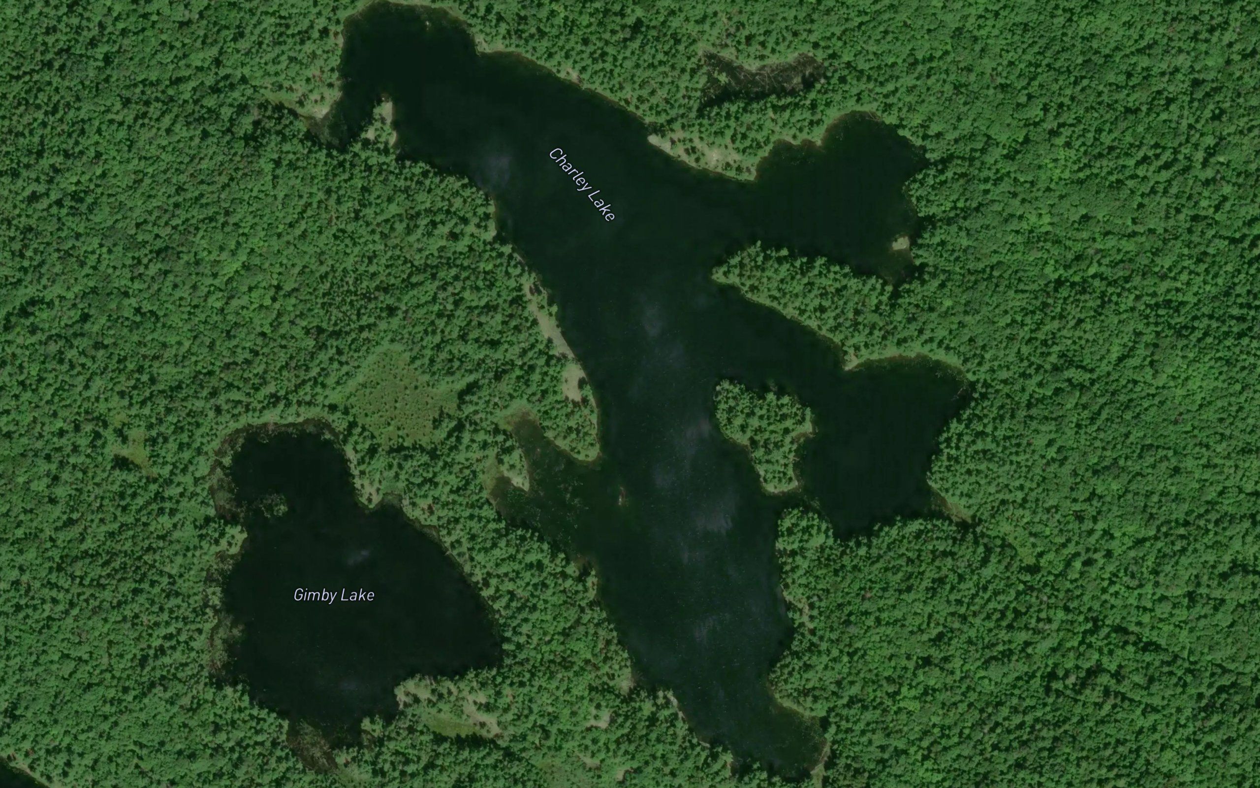 Charley Lake